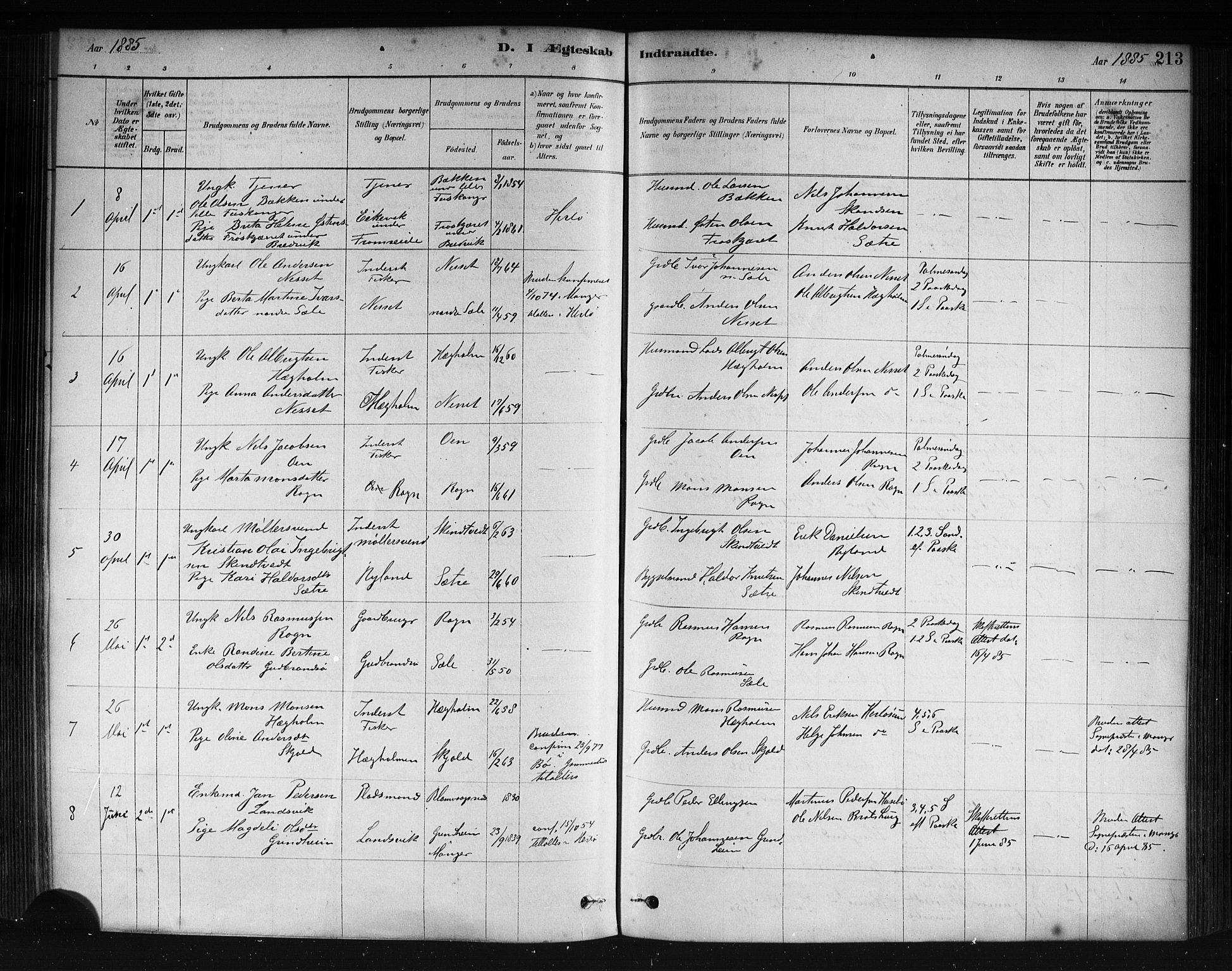 Herdla Sokneprestembete, AV/SAB-A-75701/H/Haa: Parish register (official) no. A 3, 1878-1890, p. 213