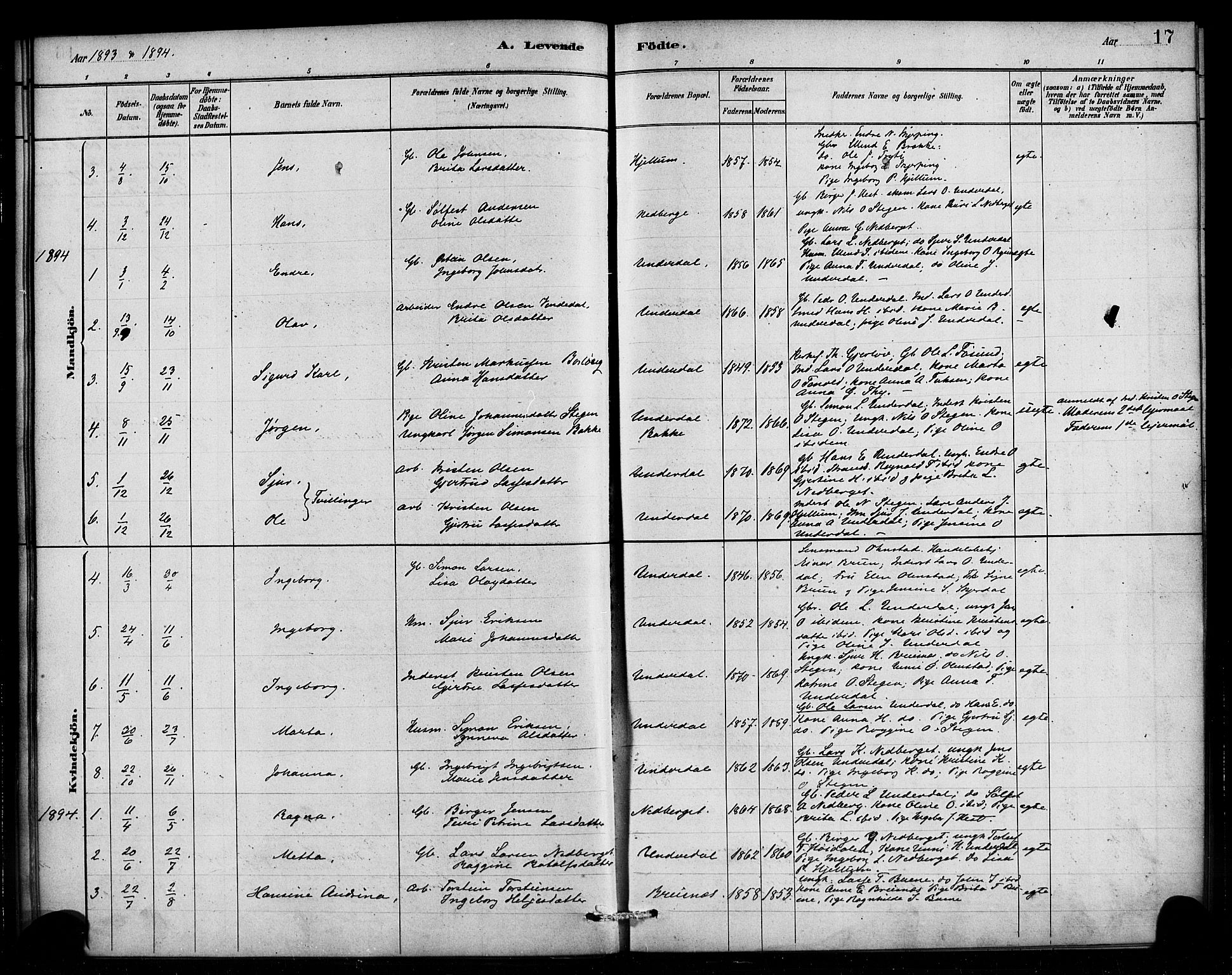 Aurland sokneprestembete, SAB/A-99937/H/Ha/Hae/L0001: Parish register (official) no. E 1, 1880-1907, p. 17