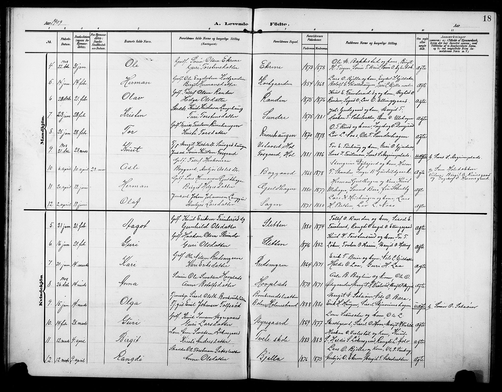 Ål kirkebøker, AV/SAKO-A-249/G/Ga/L0002: Parish register (copy) no. 2, 1904-1928, p. 18