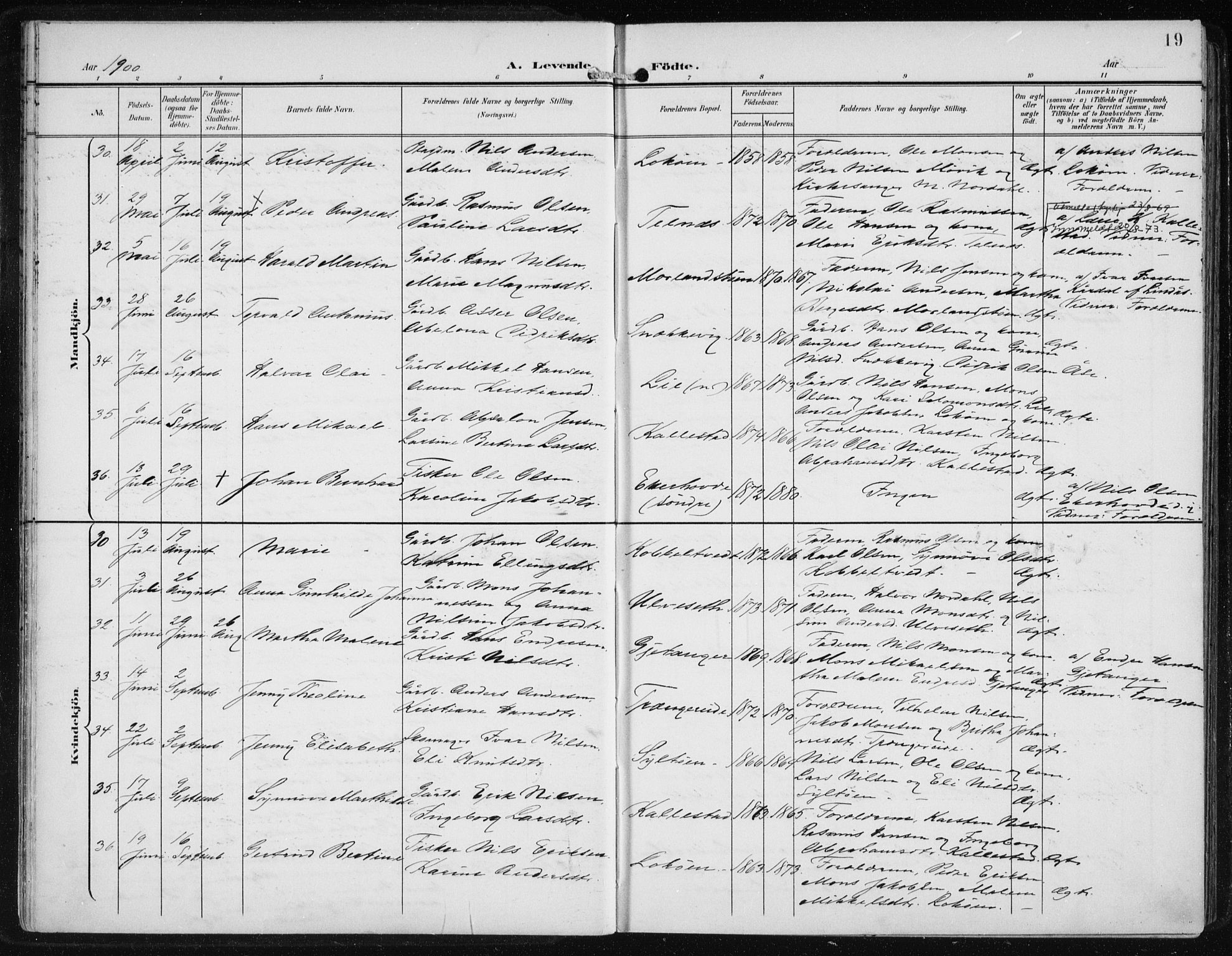 Fjell sokneprestembete, SAB/A-75301/H/Haa: Parish register (official) no. A  9, 1899-1910, p. 19
