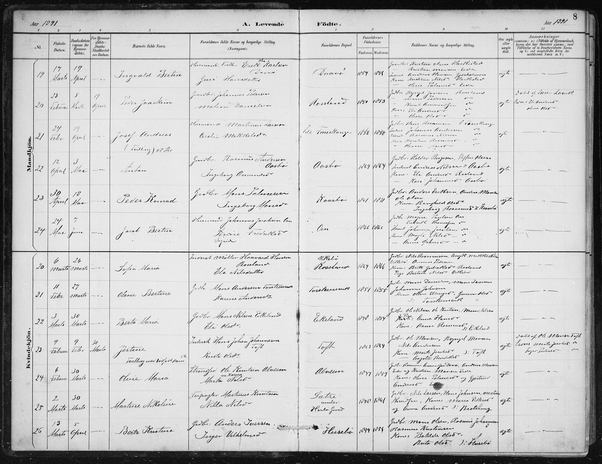 Herdla Sokneprestembete, AV/SAB-A-75701/H/Haa: Parish register (official) no. A 4, 1891-1905, p. 8