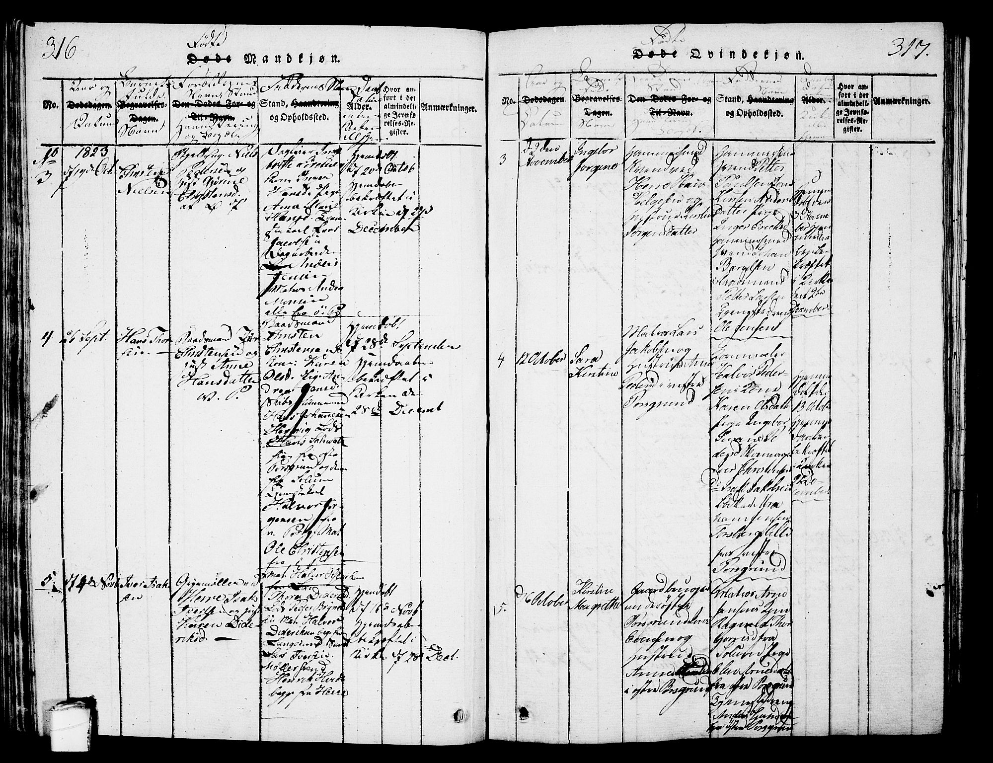 Porsgrunn kirkebøker , SAKO/A-104/G/Gb/L0001: Parish register (copy) no. II 1, 1817-1828, p. 316-317