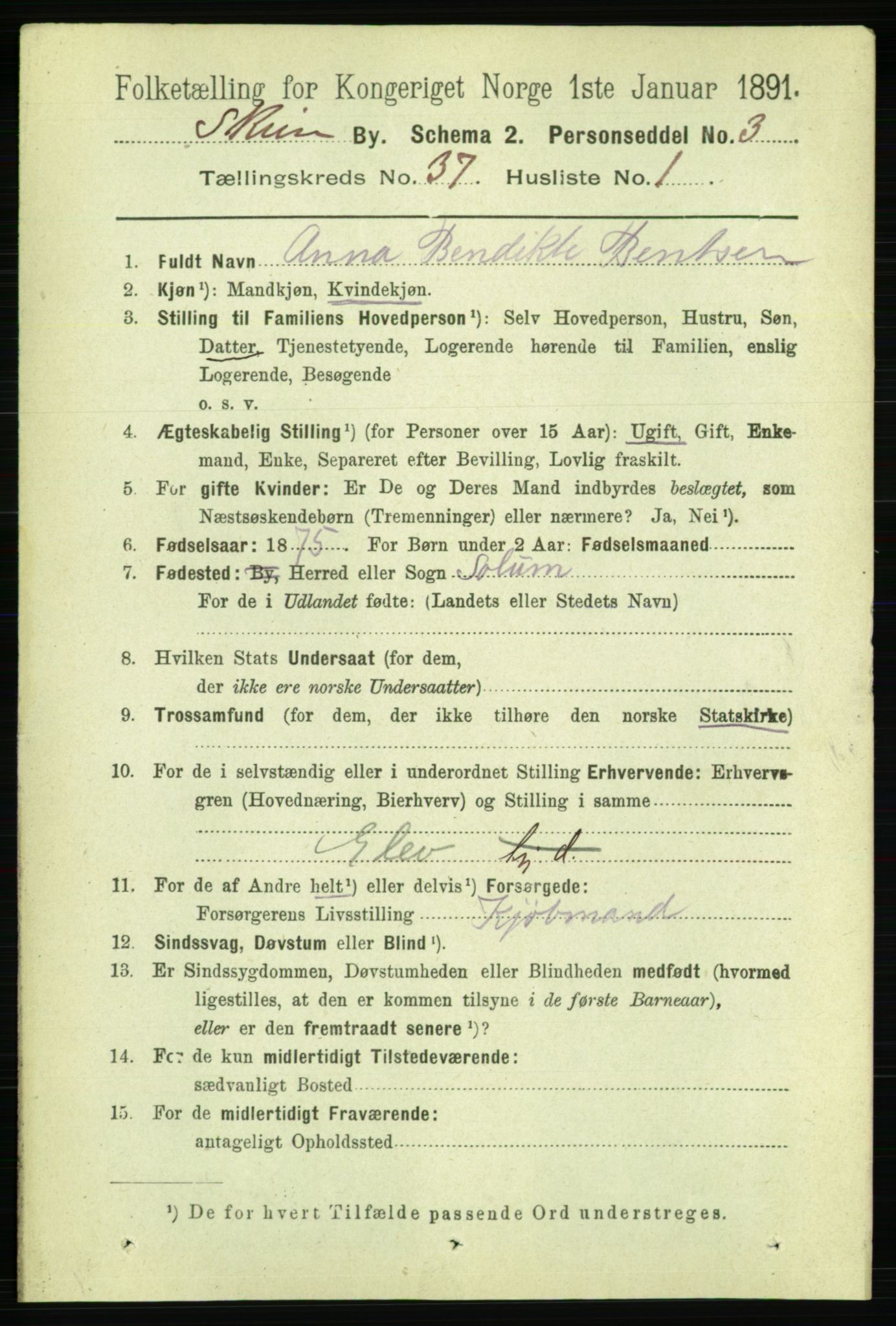 RA, 1891 census for 0806 Skien, 1891, p. 8068