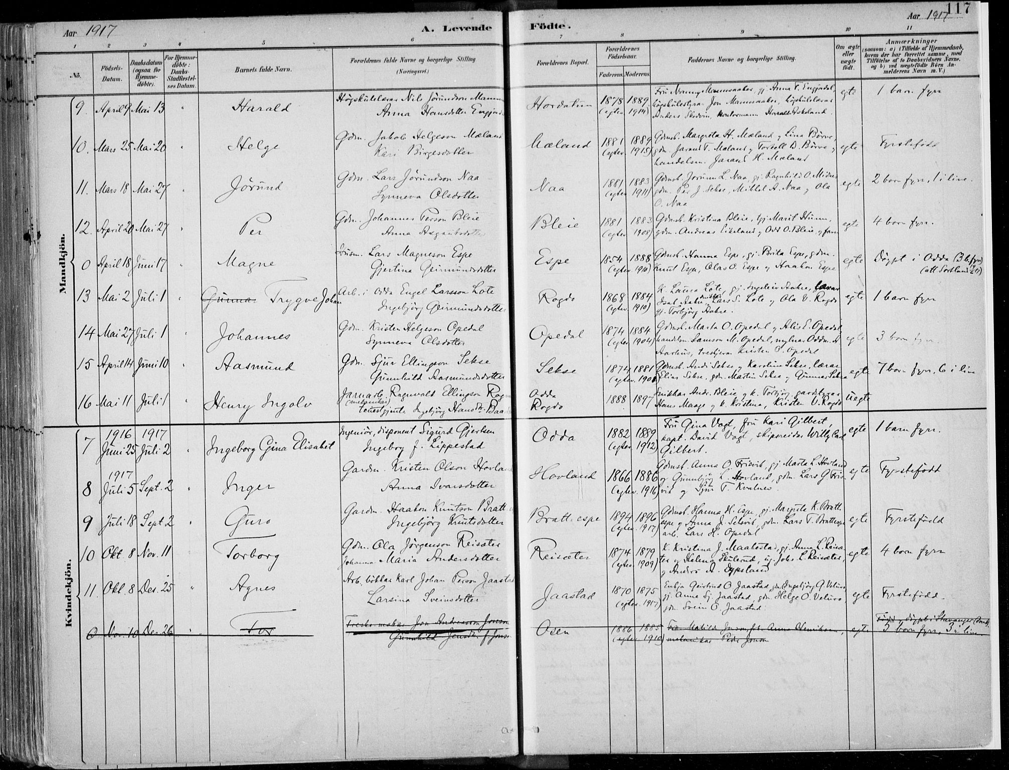 Ullensvang sokneprestembete, AV/SAB-A-78701/H/Haa: Parish register (official) no. B  1, 1882-1918, p. 117