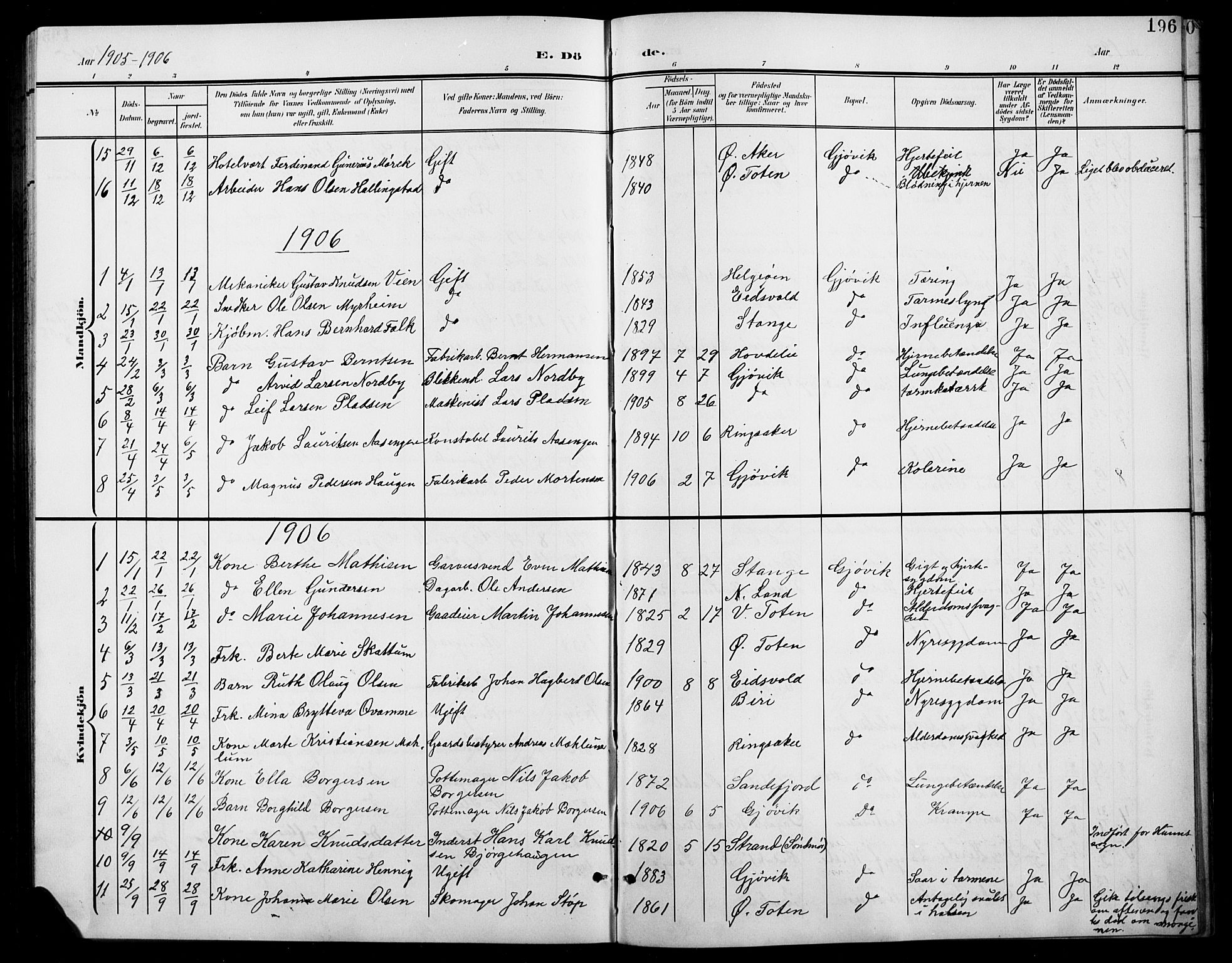 Vardal prestekontor, AV/SAH-PREST-100/H/Ha/Hab/L0012: Parish register (copy) no. 12, 1902-1911, p. 196