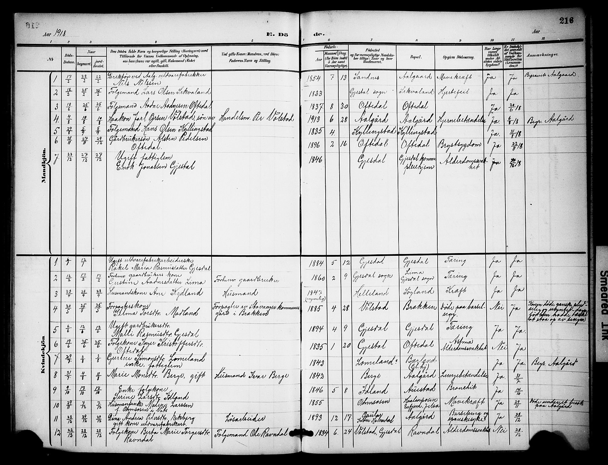 Lye sokneprestkontor, SAST/A-101794/001/30BB/L0009: Parish register (copy) no. B 9, 1902-1923, p. 216