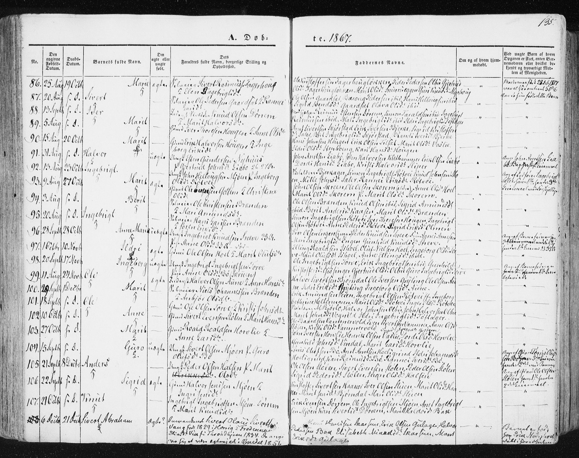 Ministerialprotokoller, klokkerbøker og fødselsregistre - Sør-Trøndelag, SAT/A-1456/678/L0899: Parish register (official) no. 678A08, 1848-1872, p. 135