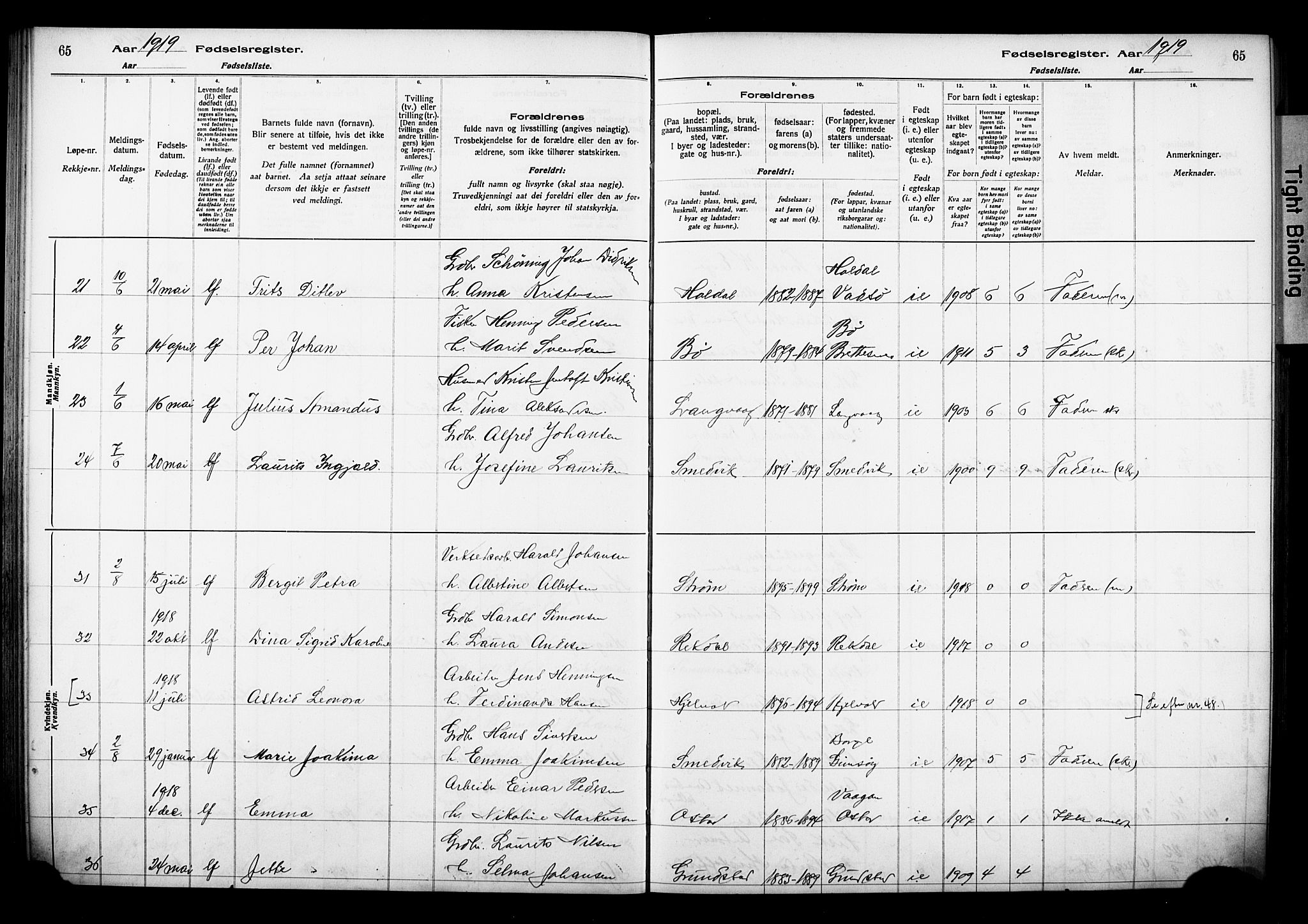 Ministerialprotokoller, klokkerbøker og fødselsregistre - Nordland, SAT/A-1459/880/L1145: Birth register no. 880.II.4.1, 1916-1929, p. 65