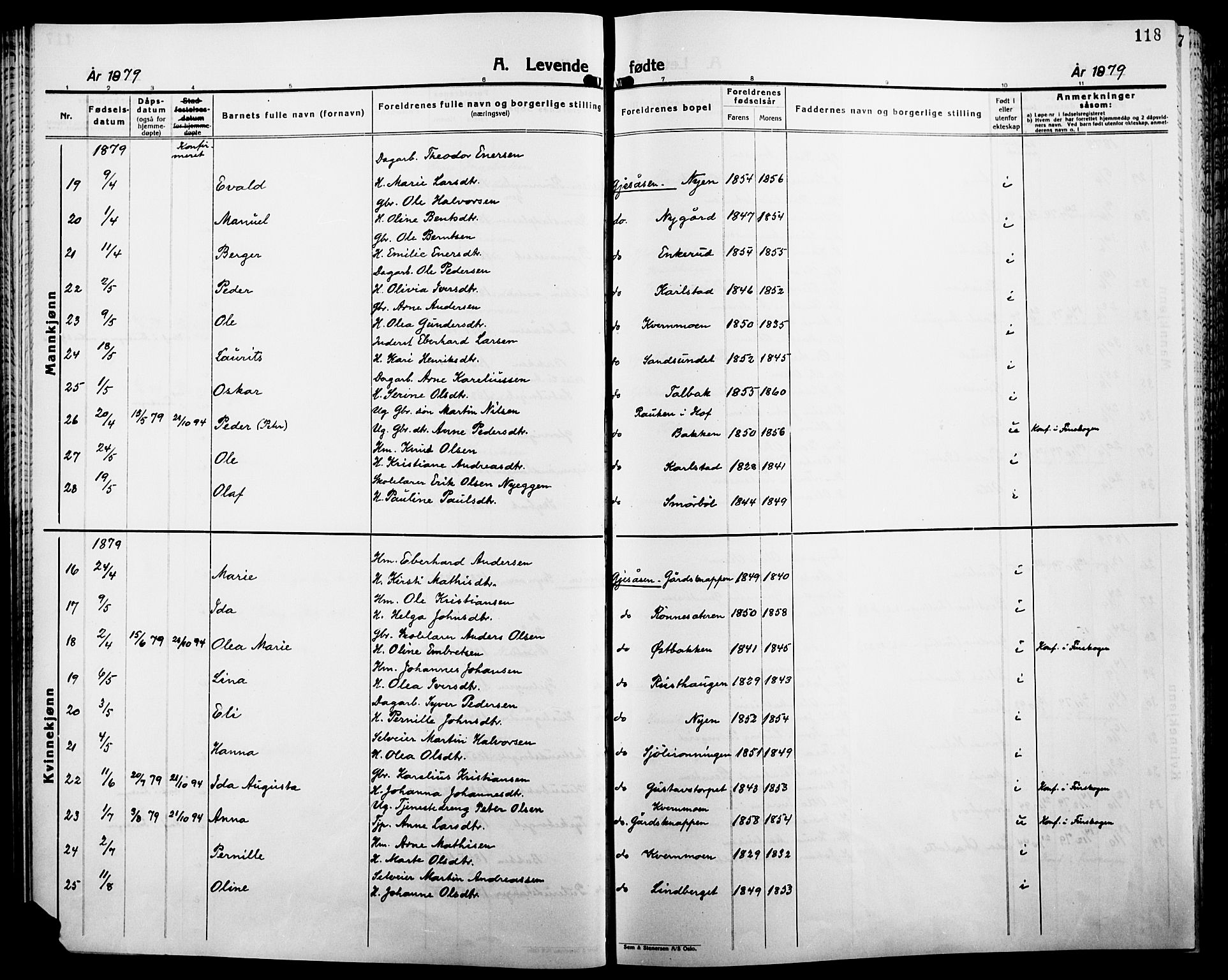 Åsnes prestekontor, SAH/PREST-042/H/Ha/Haa/L0000B: Parish register (official), 1870-1889, p. 118
