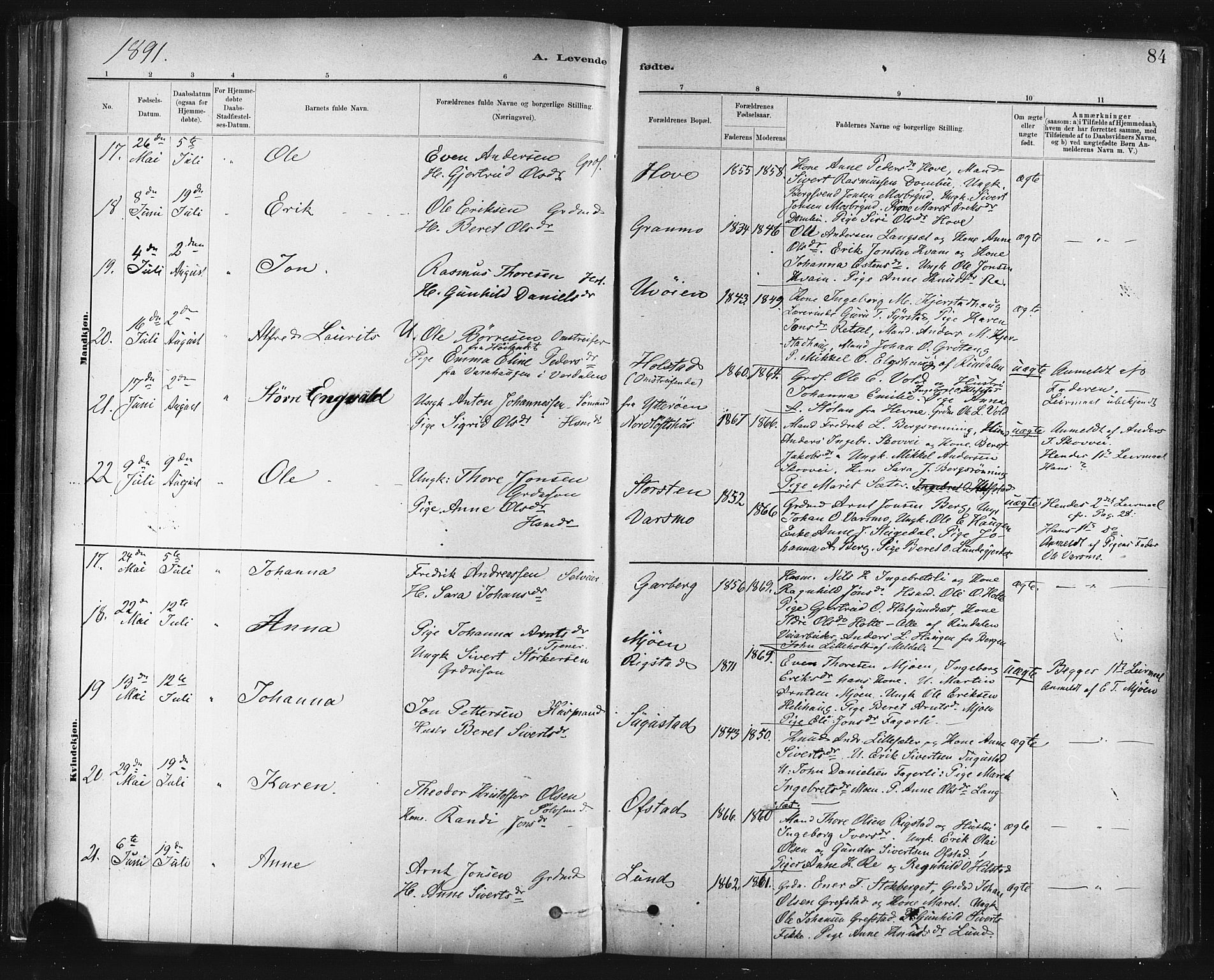 Ministerialprotokoller, klokkerbøker og fødselsregistre - Sør-Trøndelag, AV/SAT-A-1456/672/L0857: Parish register (official) no. 672A09, 1882-1893, p. 84