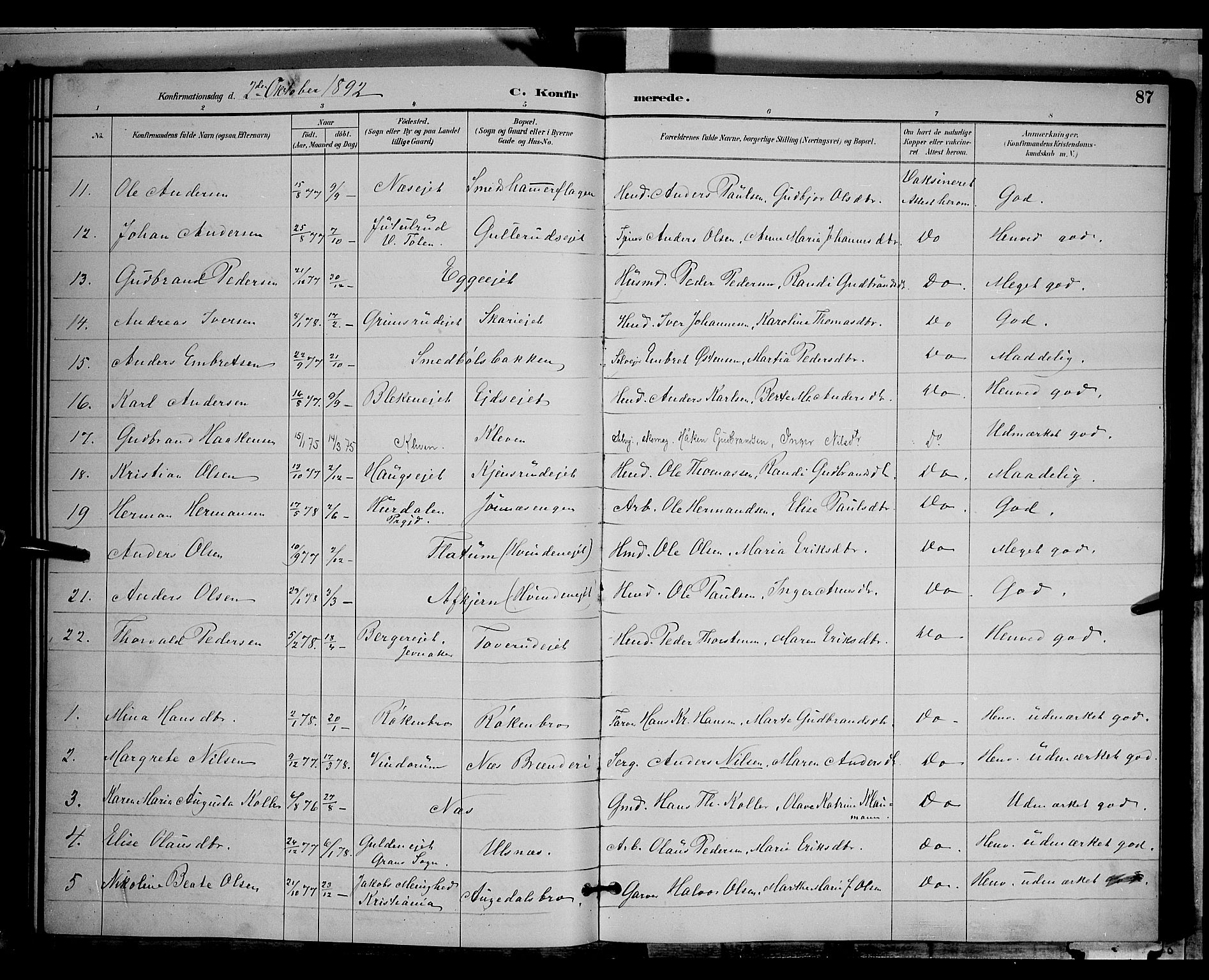 Gran prestekontor, SAH/PREST-112/H/Ha/Hab/L0004: Parish register (copy) no. 4, 1890-1899, p. 87