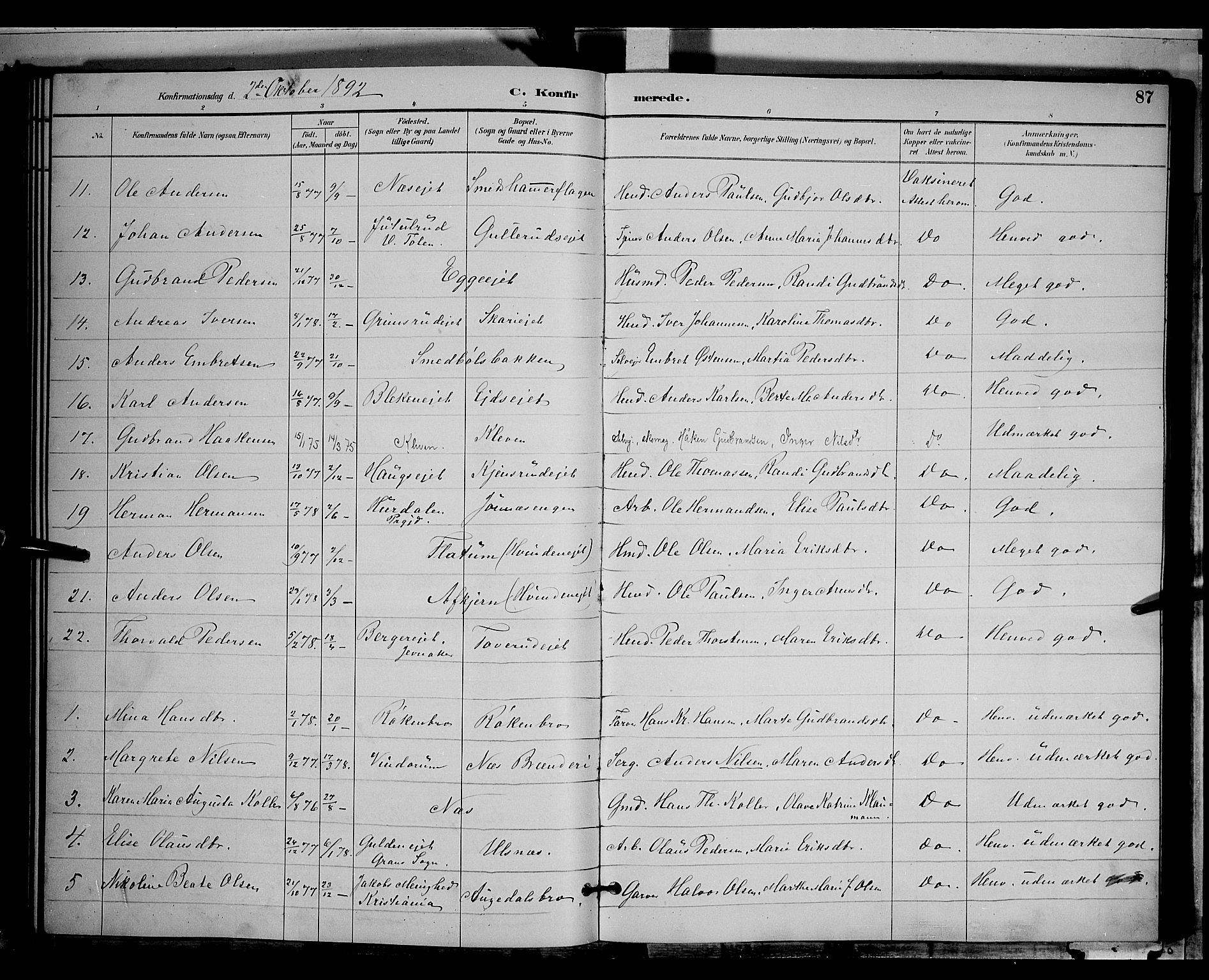 Gran prestekontor, AV/SAH-PREST-112/H/Ha/Hab/L0004: Parish register (copy) no. 4, 1890-1899, p. 87