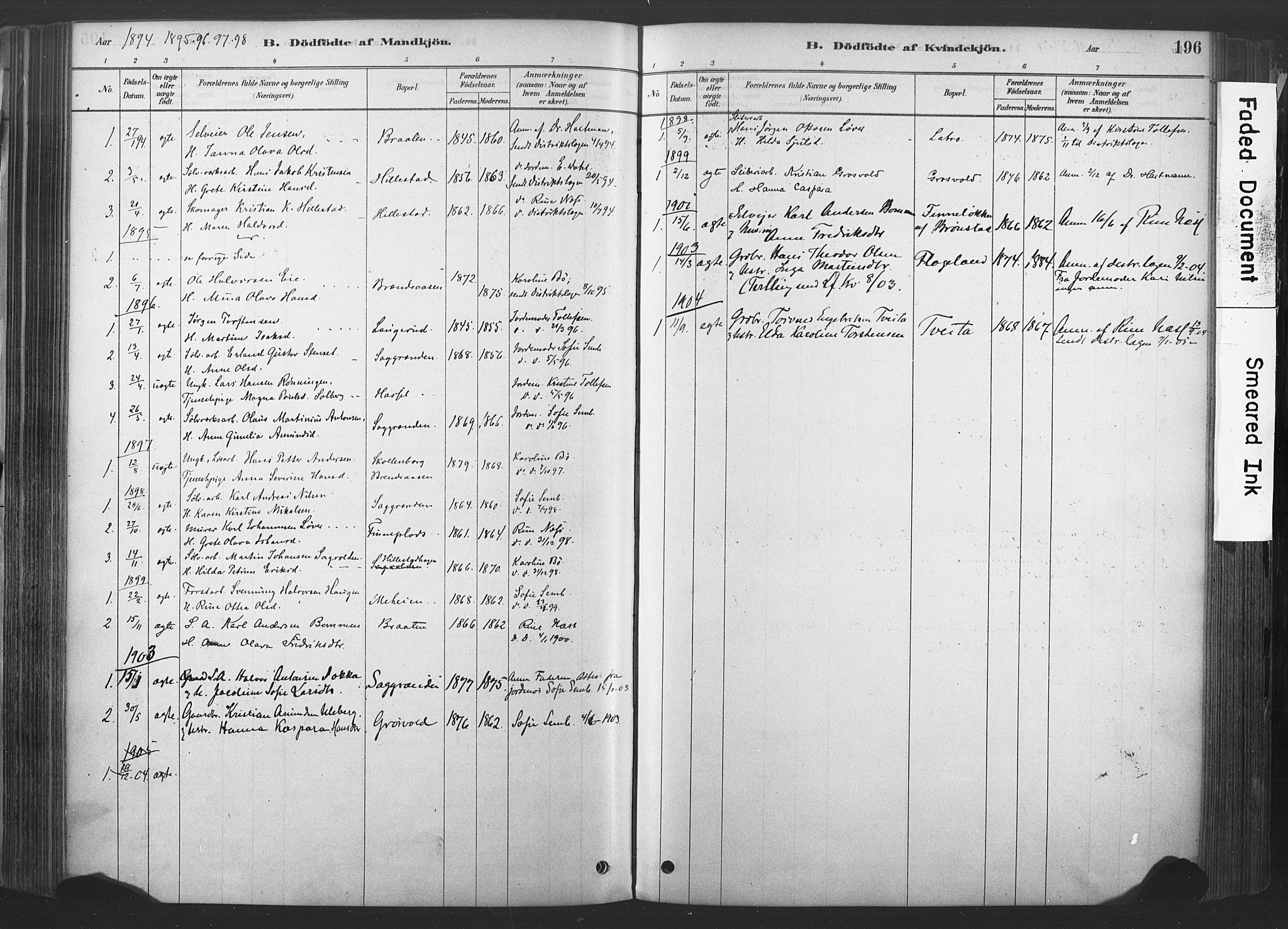 Sandsvær kirkebøker, SAKO/A-244/F/Fd/L0001: Parish register (official) no. IV 1, 1878-1906, p. 196