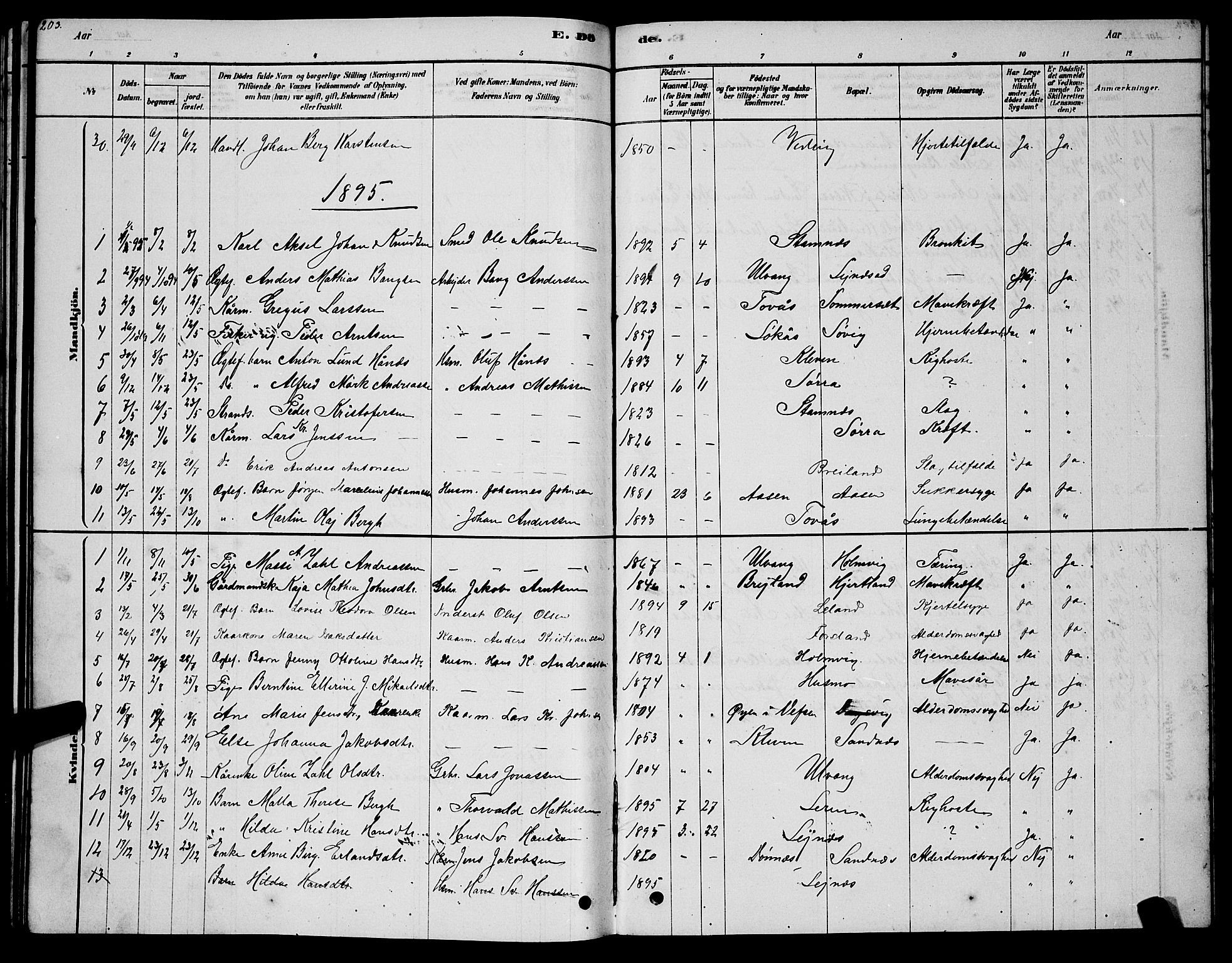 Ministerialprotokoller, klokkerbøker og fødselsregistre - Nordland, AV/SAT-A-1459/831/L0477: Parish register (copy) no. 831C04, 1878-1897, p. 203