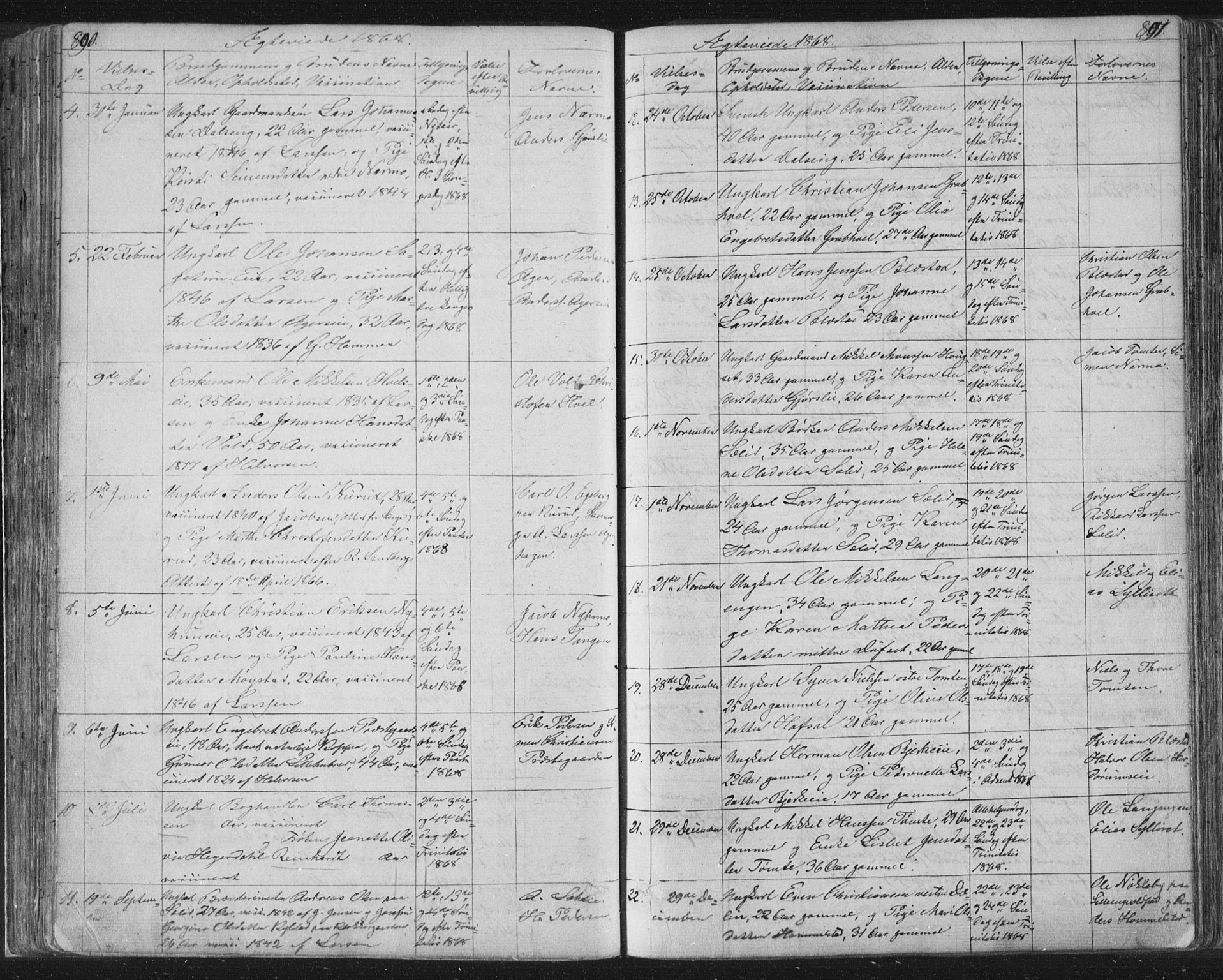 Vang prestekontor, Hedmark, AV/SAH-PREST-008/H/Ha/Hab/L0010B: Parish register (copy) no. 10b, 1854-1896, p. 890-891