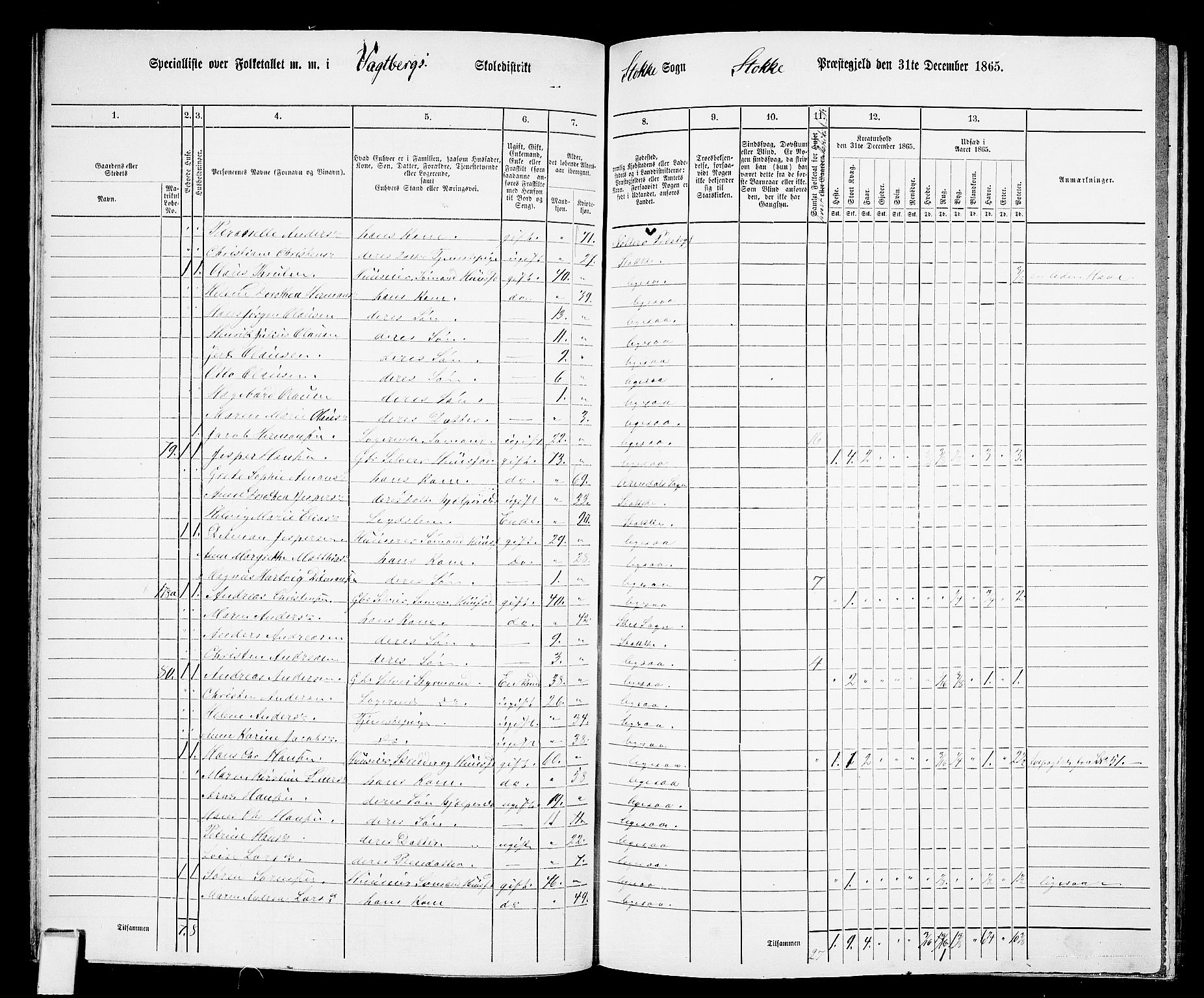 RA, 1865 census for Stokke, 1865, p. 65