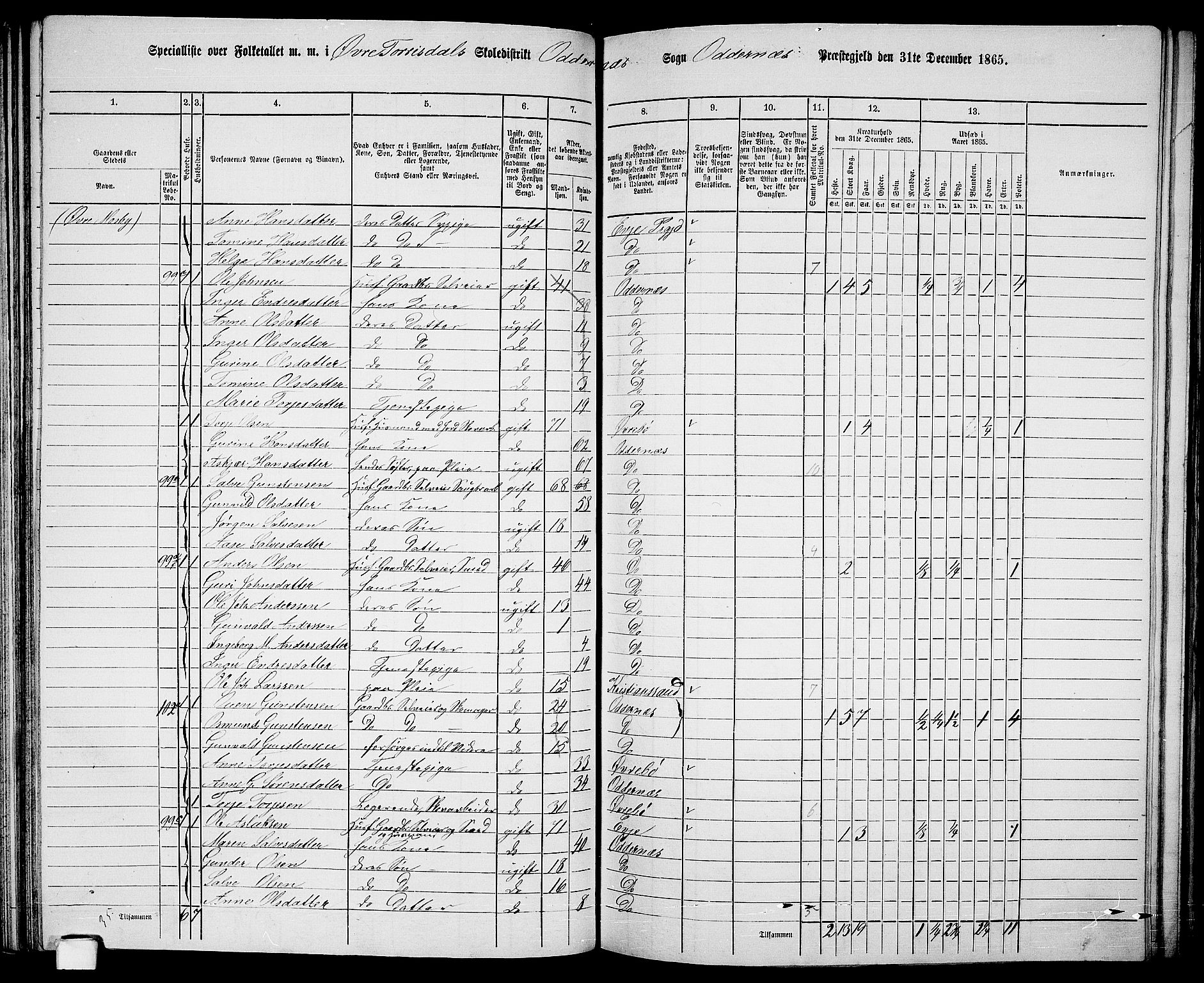 RA, 1865 census for Oddernes, 1865, p. 69