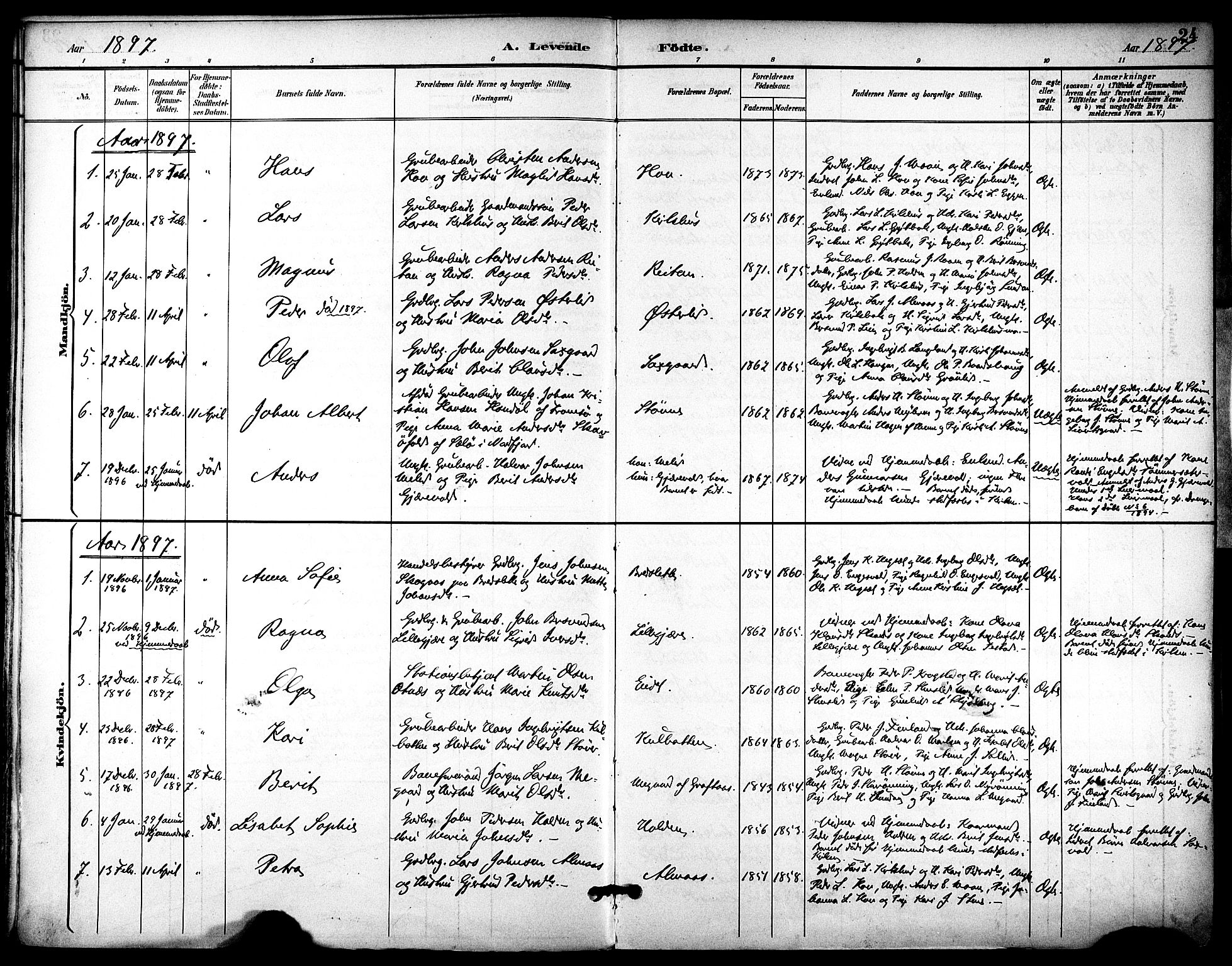 Ministerialprotokoller, klokkerbøker og fødselsregistre - Sør-Trøndelag, AV/SAT-A-1456/686/L0984: Parish register (official) no. 686A02, 1891-1906, p. 24