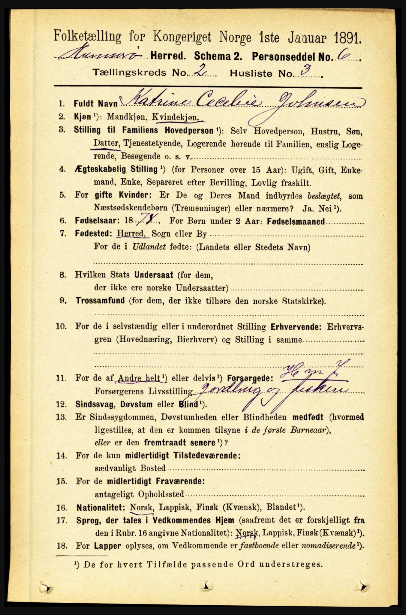 RA, 1891 census for 1849 Hamarøy, 1891, p. 595