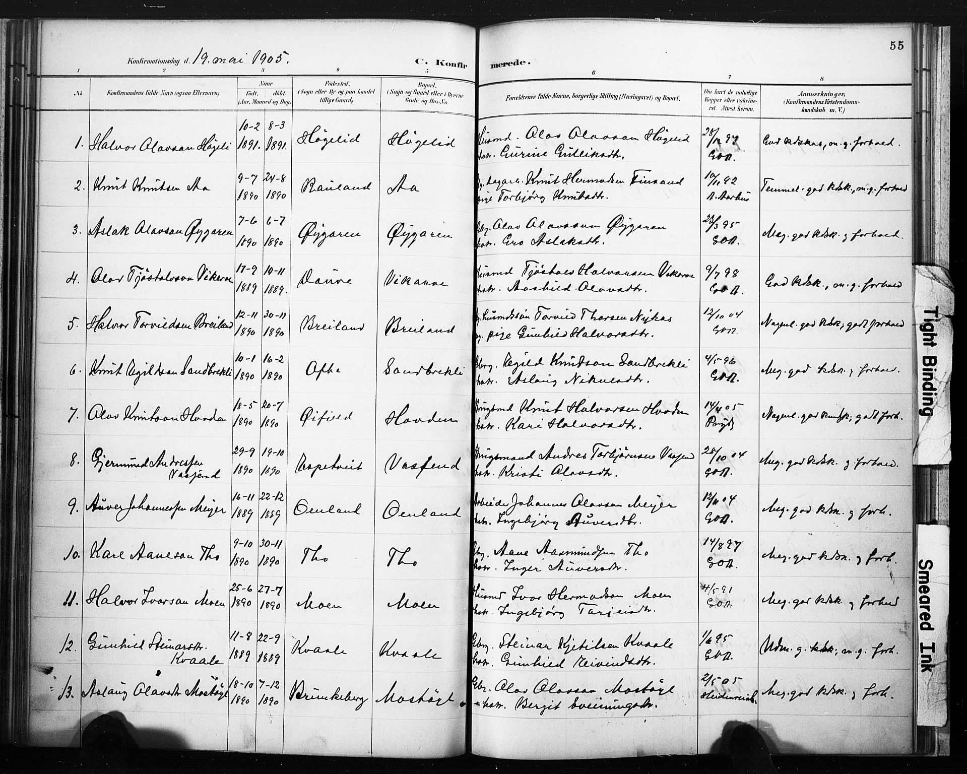 Lårdal kirkebøker, SAKO/A-284/F/Fc/L0002: Parish register (official) no. III 2, 1887-1906, p. 55