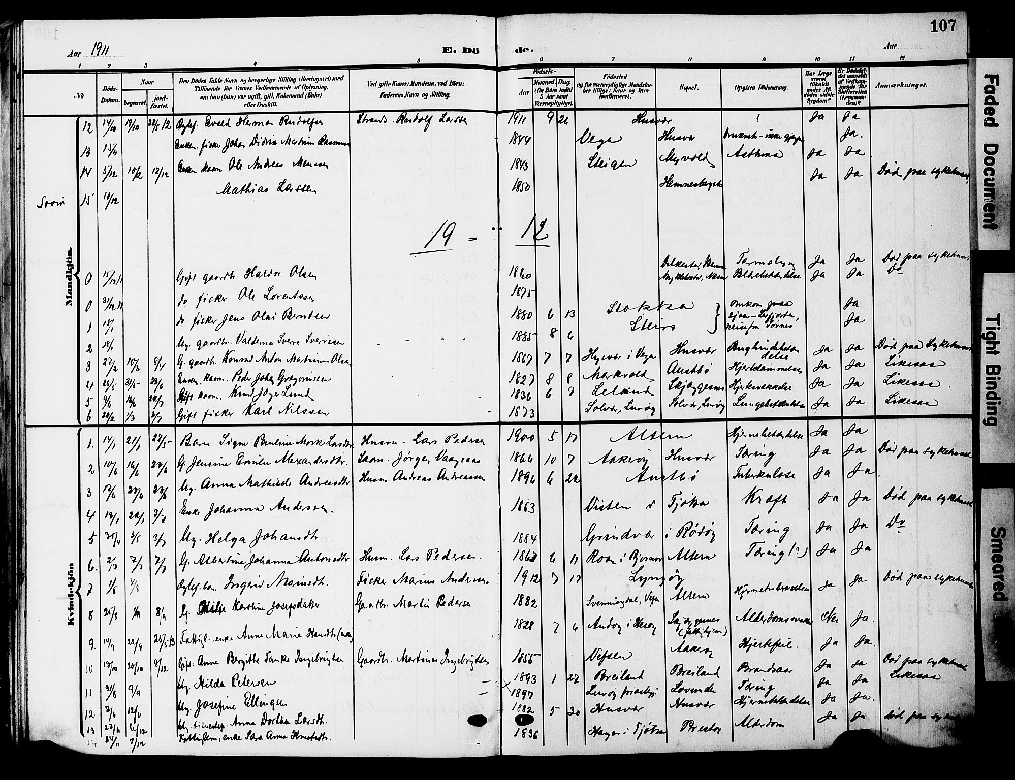 Ministerialprotokoller, klokkerbøker og fødselsregistre - Nordland, AV/SAT-A-1459/830/L0464: Parish register (copy) no. 830C06, 1906-1925, p. 107