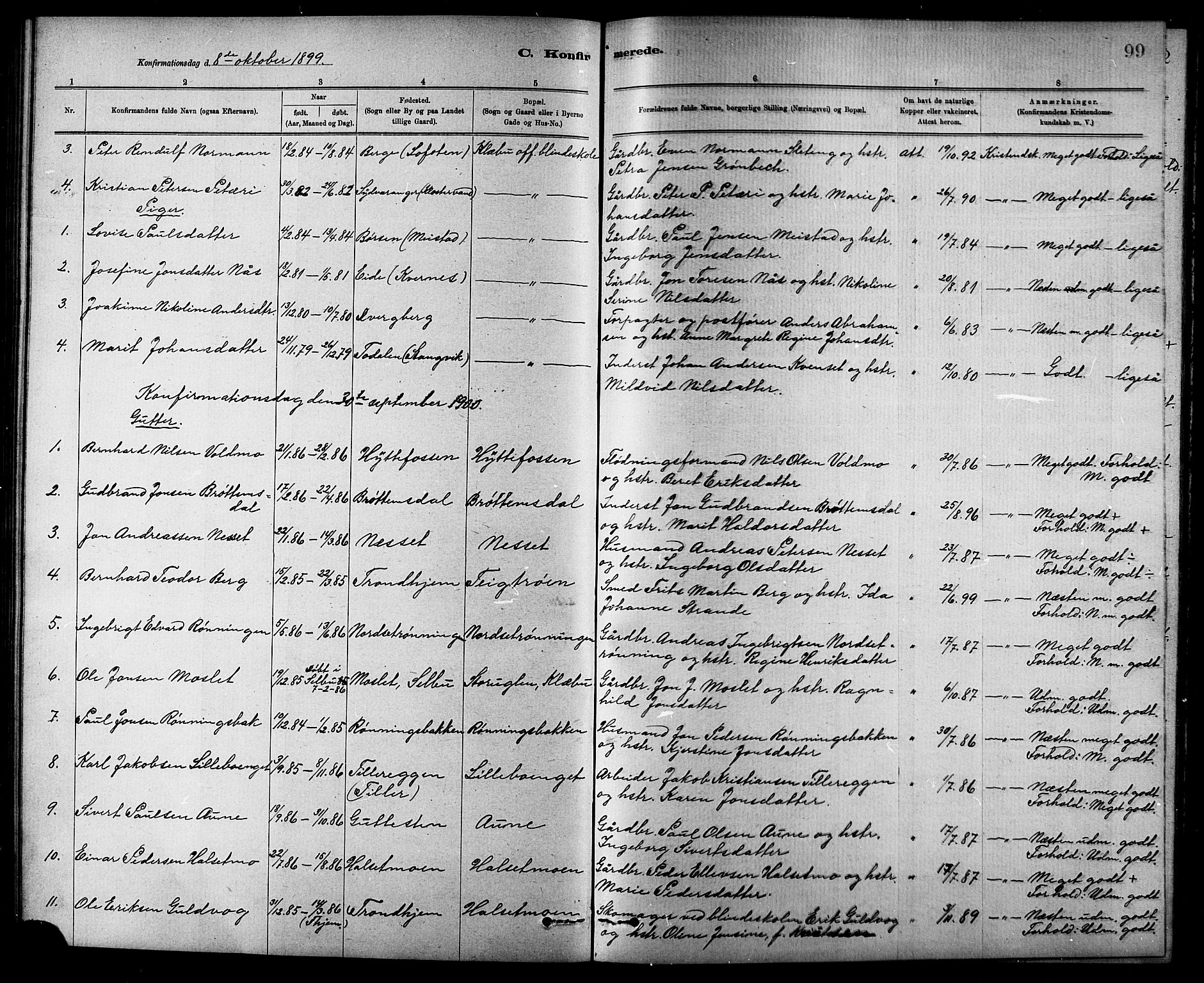 Ministerialprotokoller, klokkerbøker og fødselsregistre - Sør-Trøndelag, SAT/A-1456/618/L0452: Parish register (copy) no. 618C03, 1884-1906, p. 99
