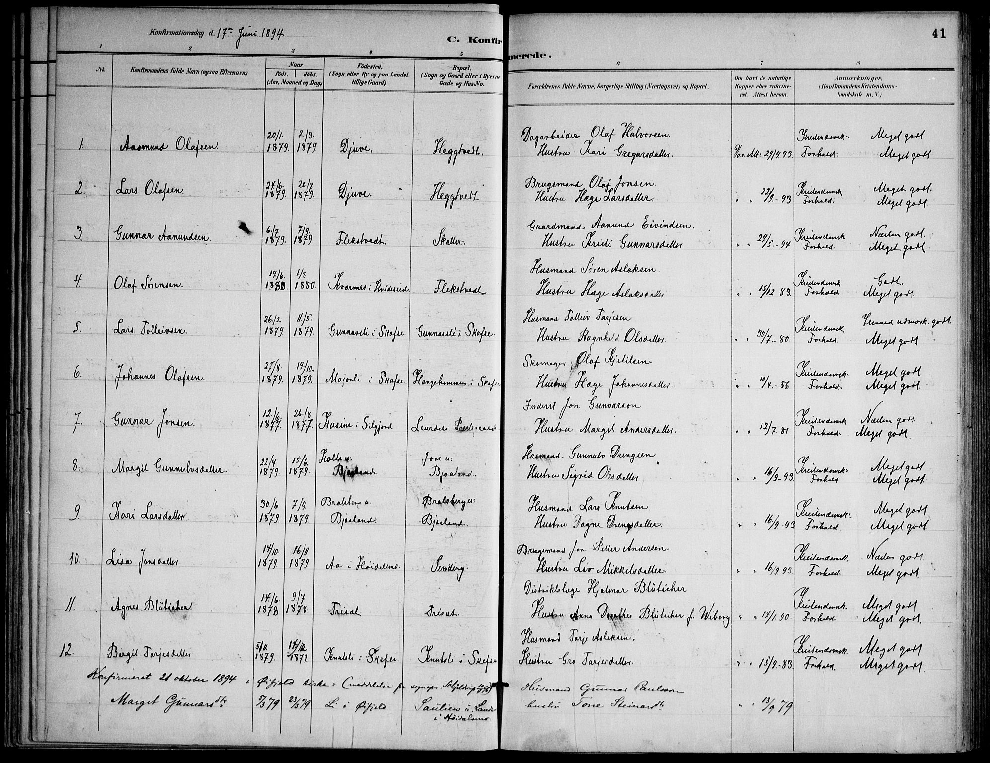 Lårdal kirkebøker, SAKO/A-284/F/Fa/L0007: Parish register (official) no. I 7, 1887-1906, p. 41