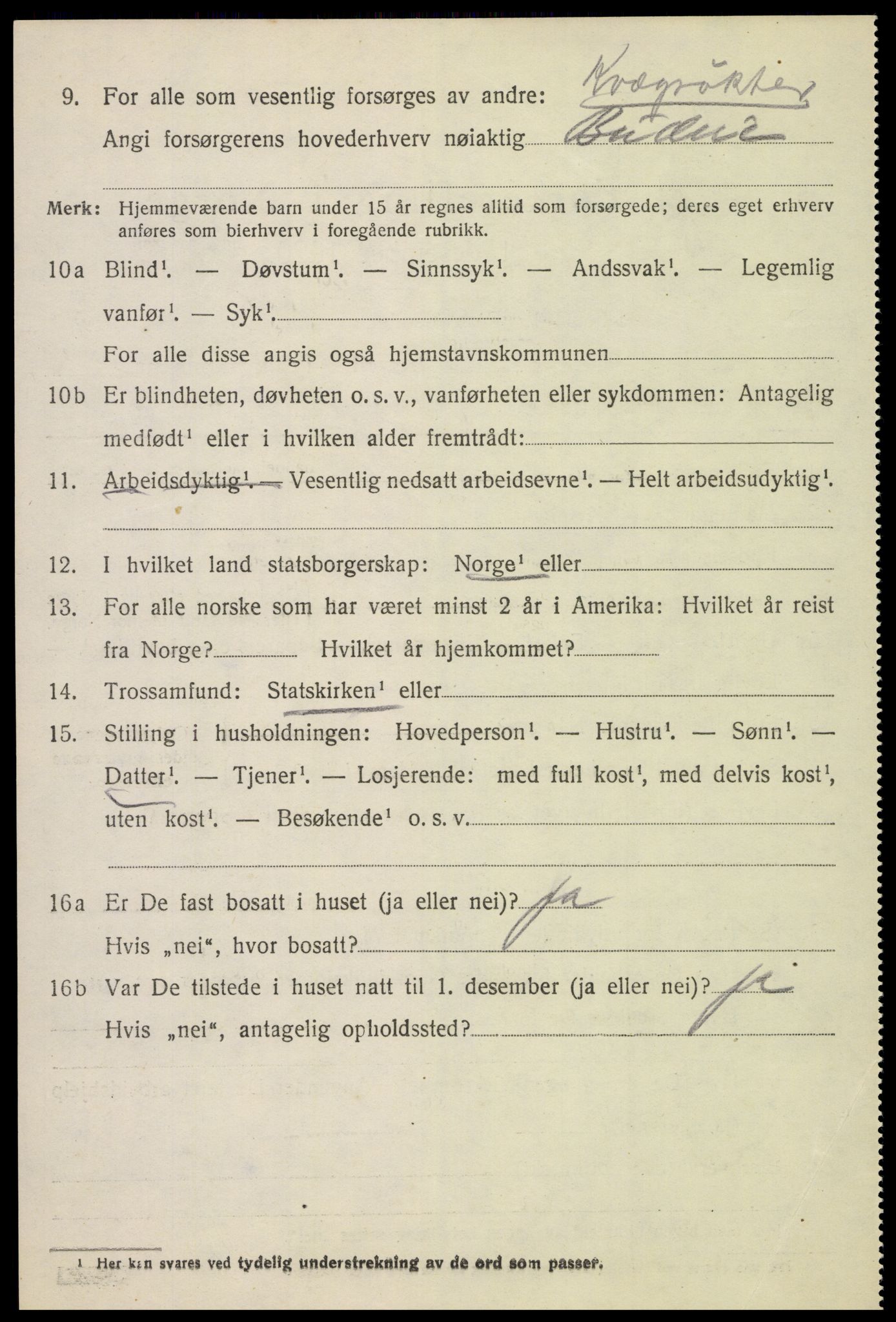 SAH, 1920 census for Furnes, 1920, p. 4824