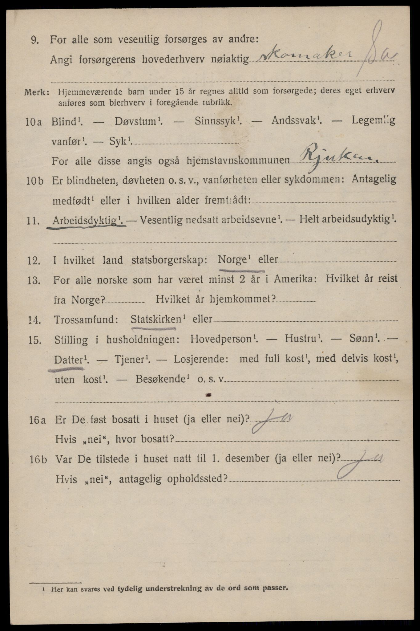 SAKO, 1920 census for Tinn, 1920, p. 22893