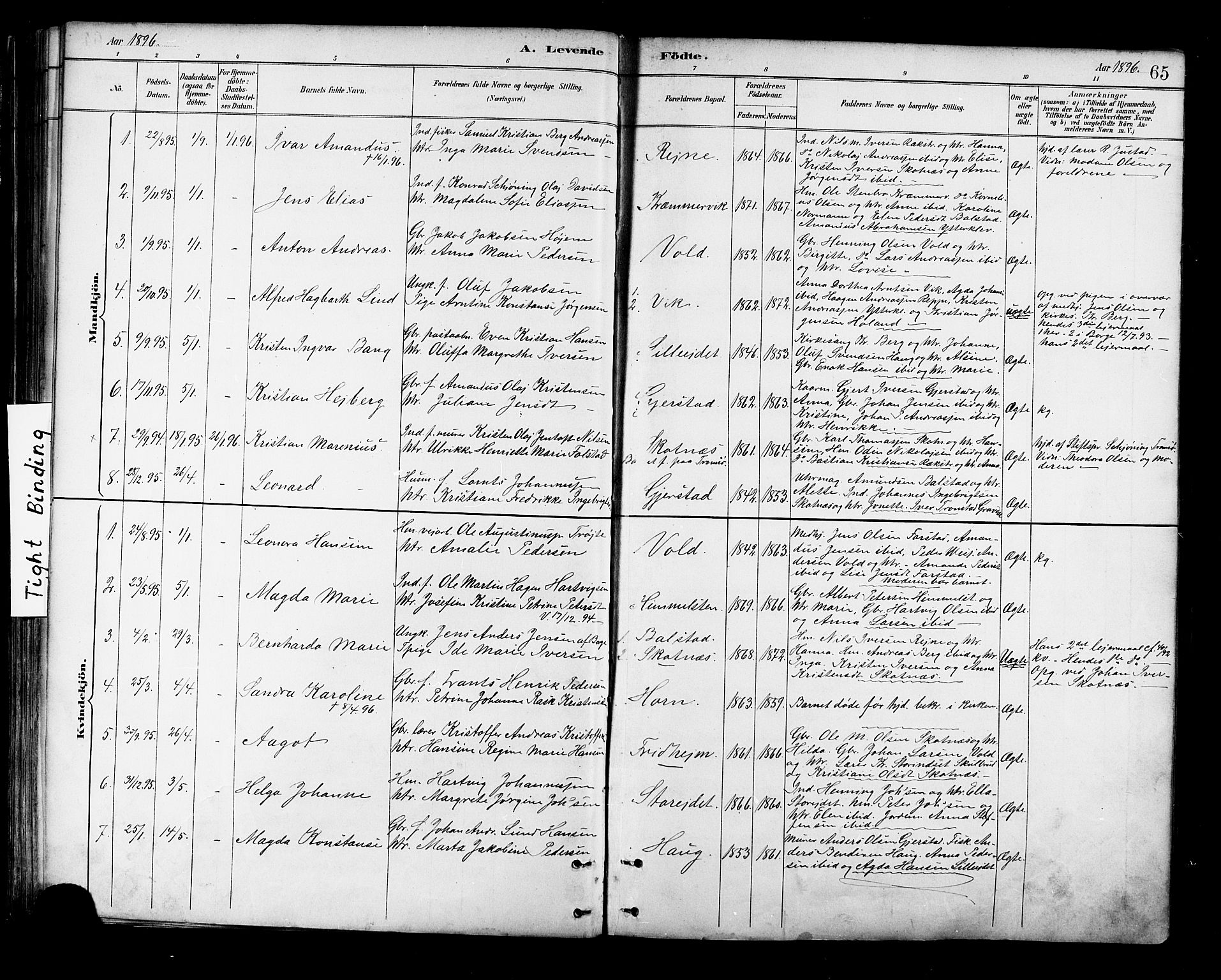 Ministerialprotokoller, klokkerbøker og fødselsregistre - Nordland, SAT/A-1459/881/L1167: Parish register (copy) no. 881C04, 1886-1899, p. 65