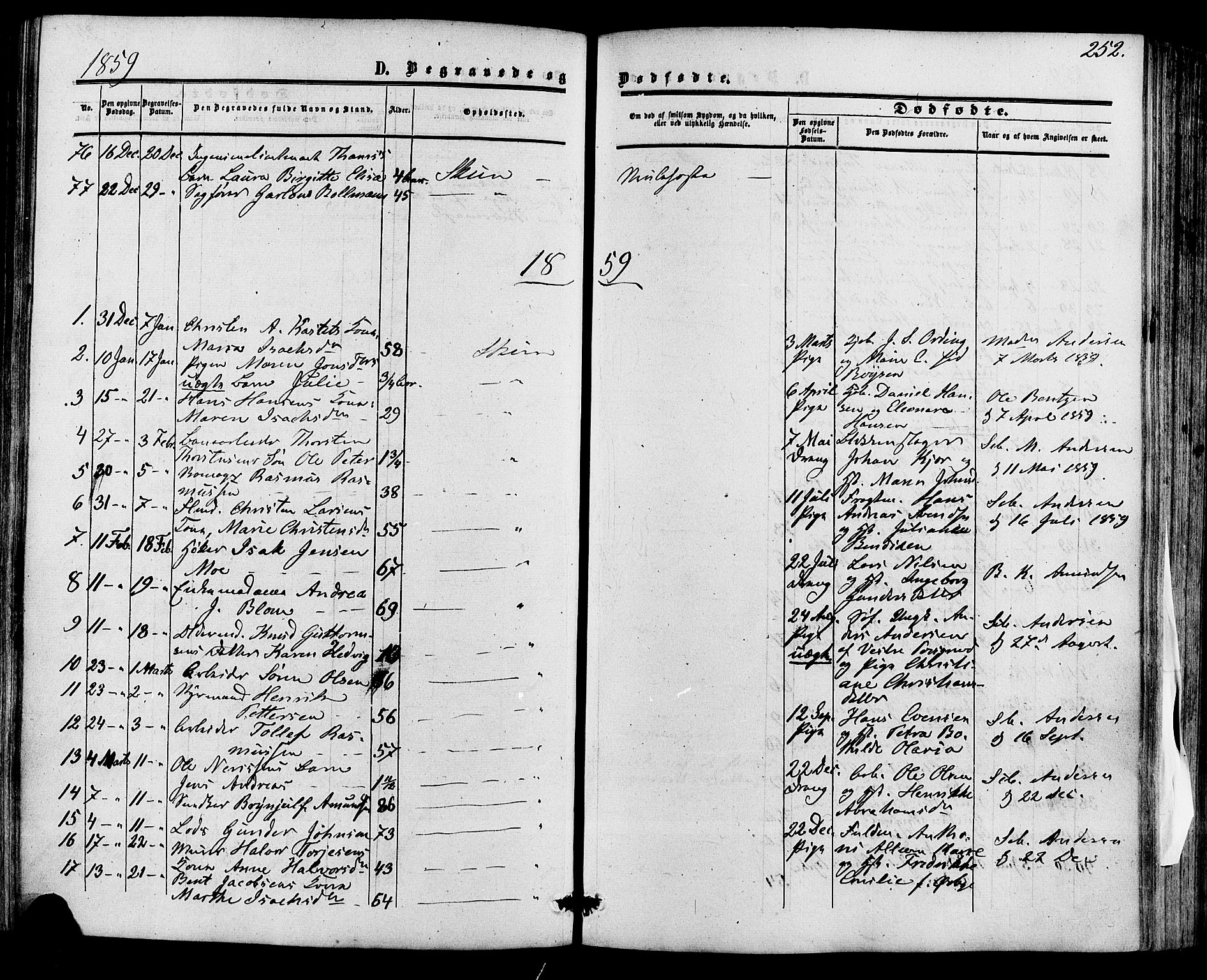 Skien kirkebøker, AV/SAKO-A-302/F/Fa/L0007: Parish register (official) no. 7, 1856-1865, p. 252