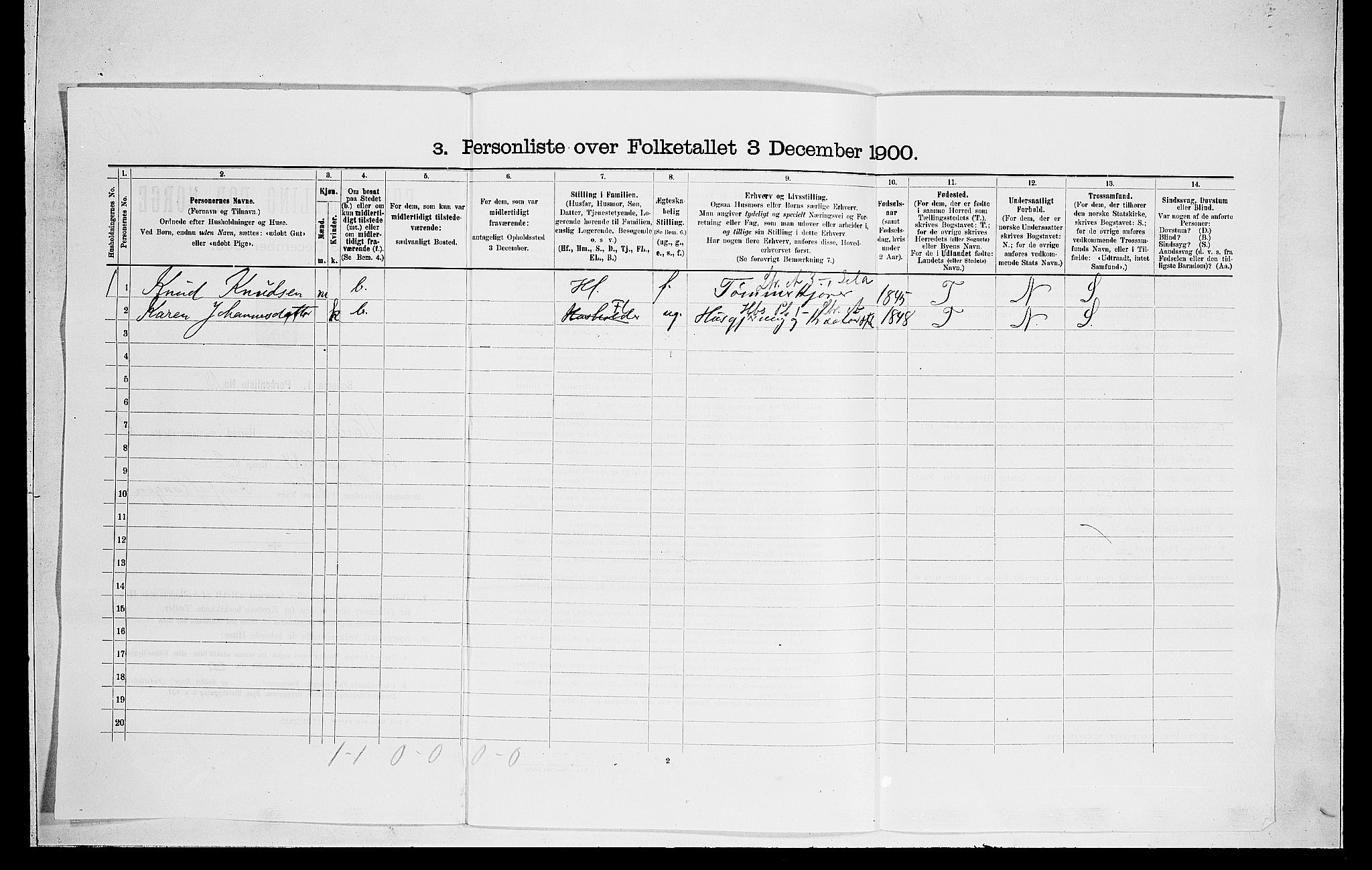 RA, 1900 census for Norderhov, 1900, p. 684