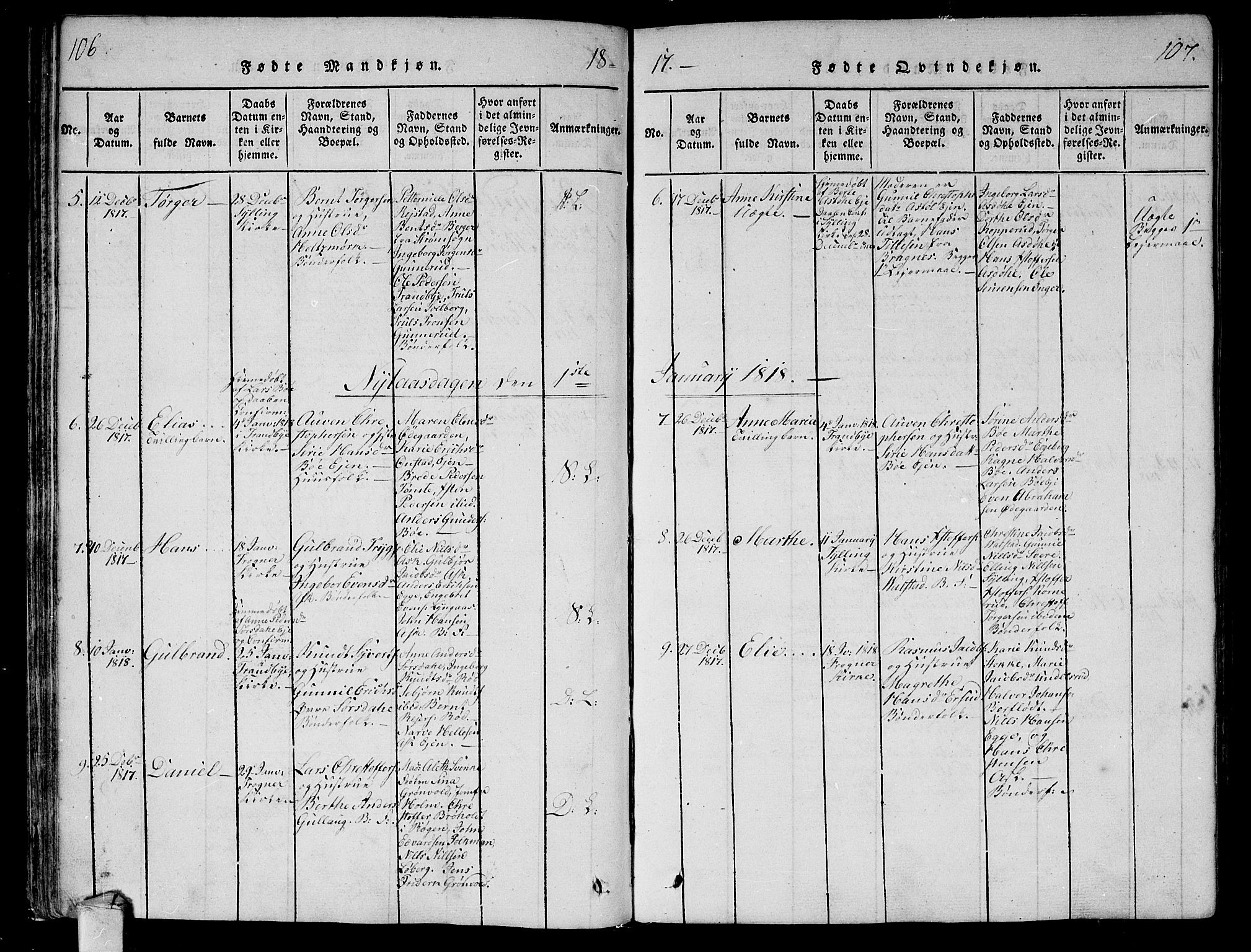 Lier kirkebøker, AV/SAKO-A-230/F/Fa/L0008: Parish register (official) no. I 8, 1813-1825, p. 106-107