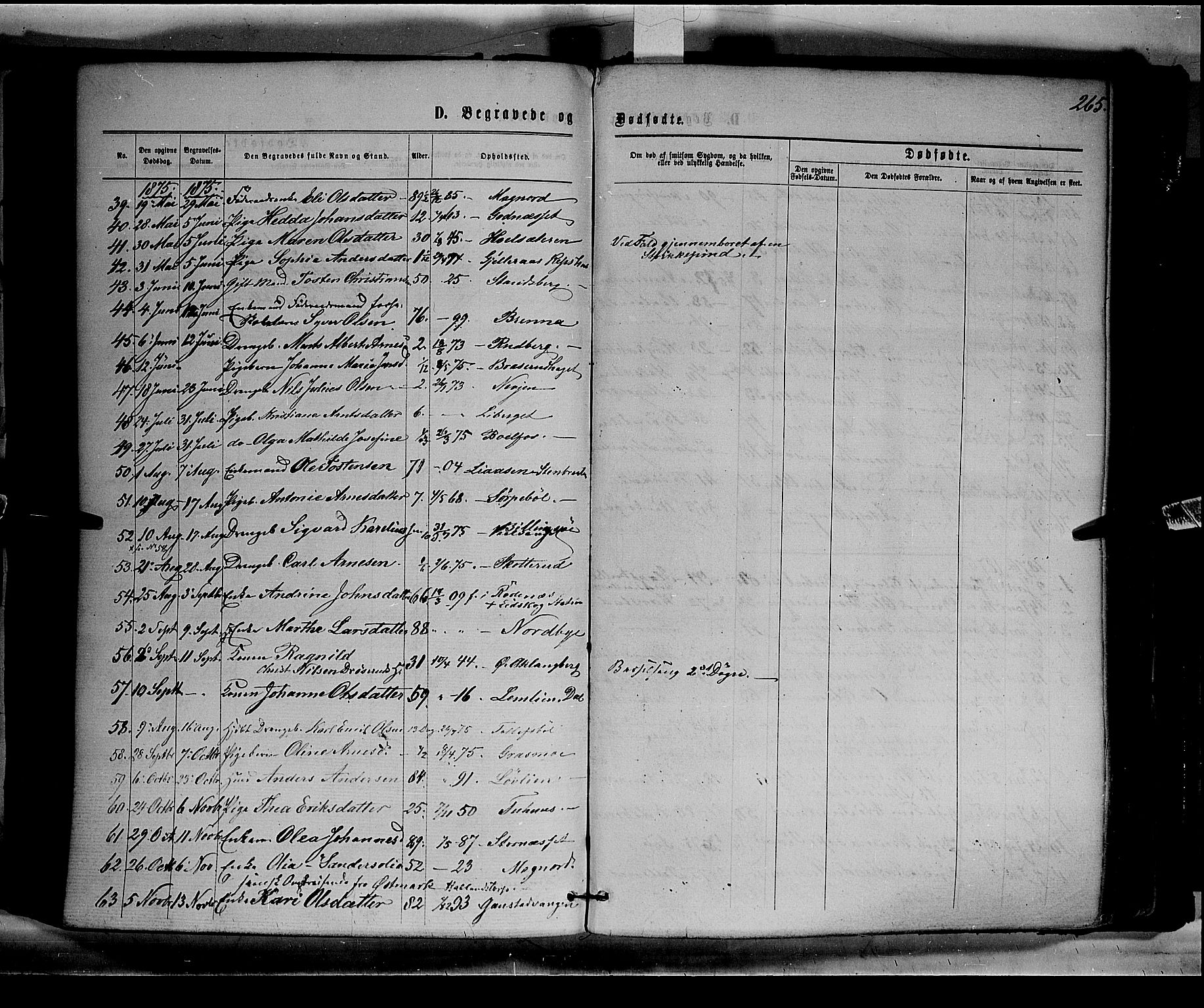 Eidskog prestekontor, AV/SAH-PREST-026/H/Ha/Haa/L0002: Parish register (official) no. 2, 1867-1878, p. 265