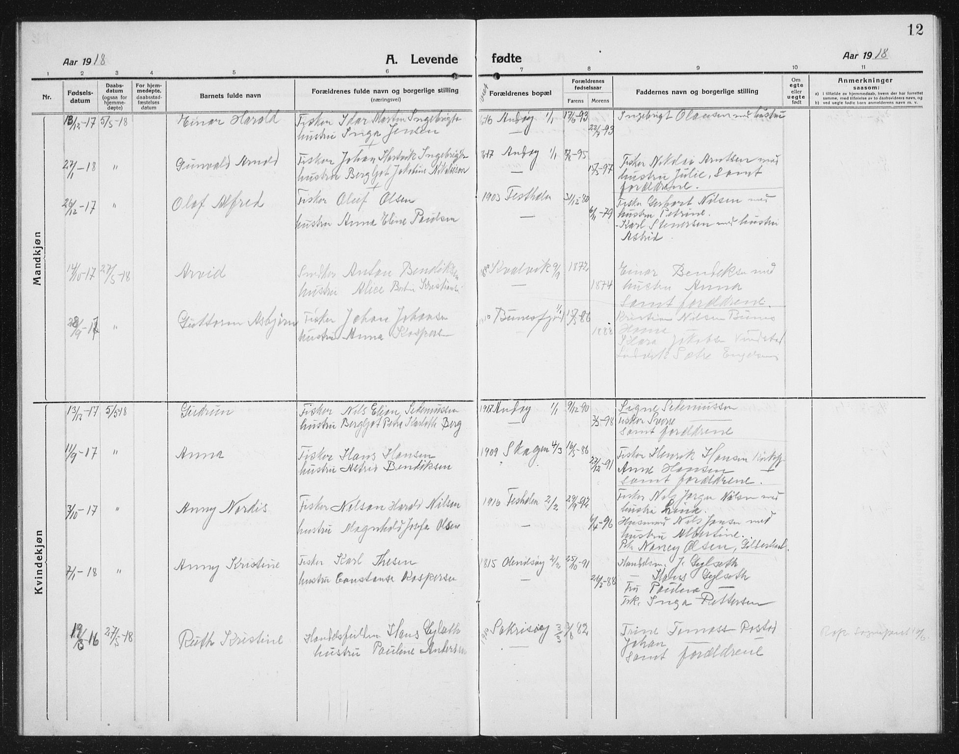 Ministerialprotokoller, klokkerbøker og fødselsregistre - Nordland, SAT/A-1459/887/L1229: Parish register (copy) no. 887C01, 1916-1935, p. 12