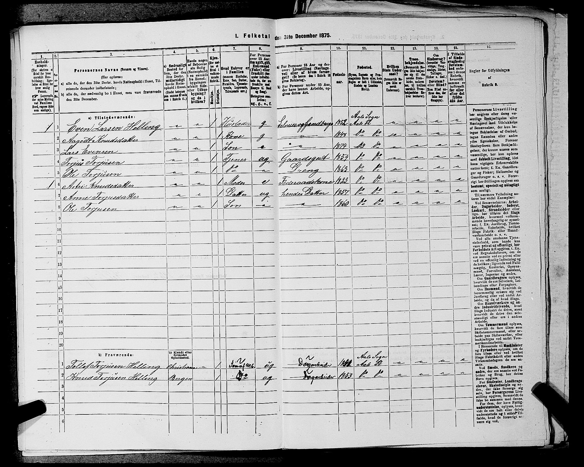 SAKO, 1875 census for 0619P Ål, 1875, p. 813