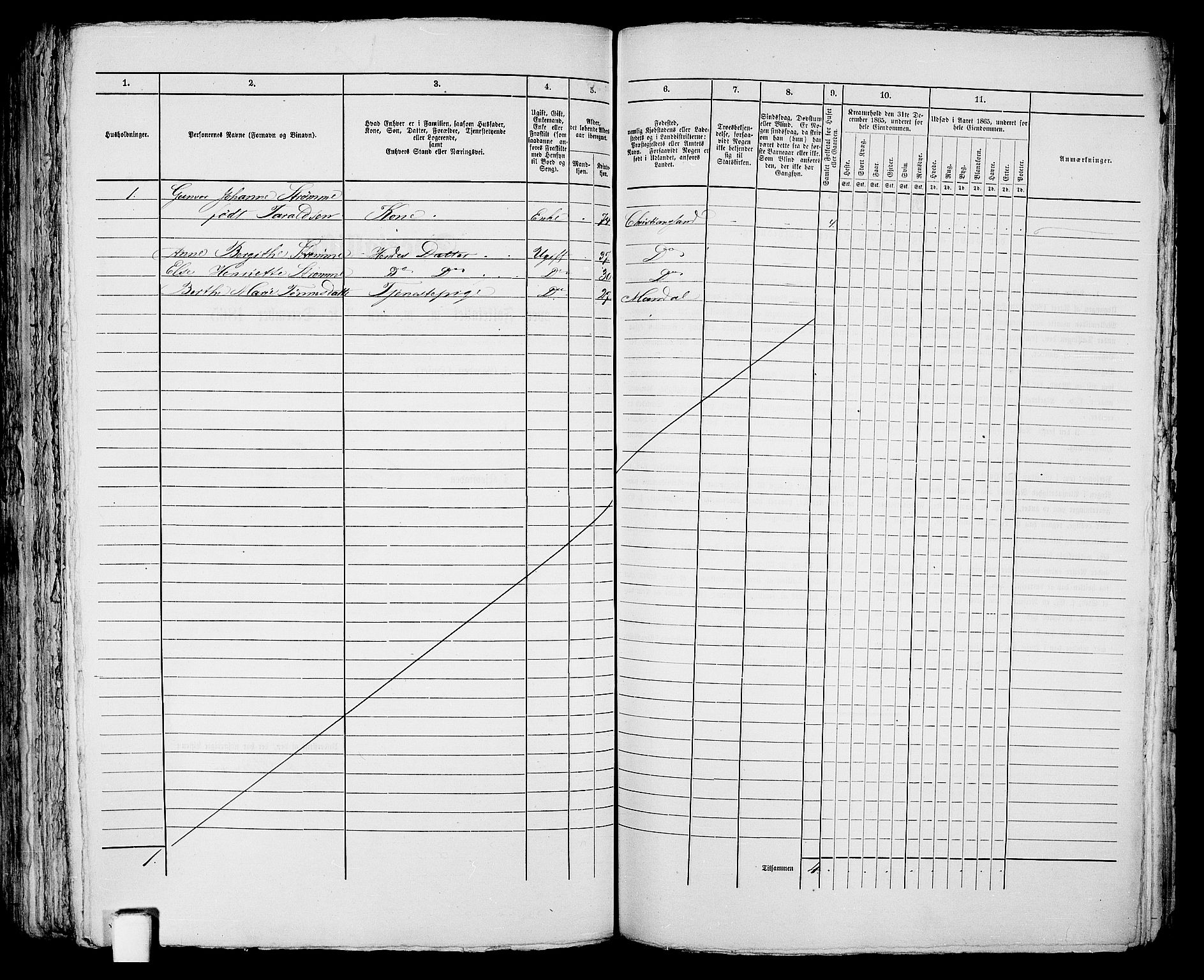 RA, 1865 census for Kristiansand, 1865, p. 323