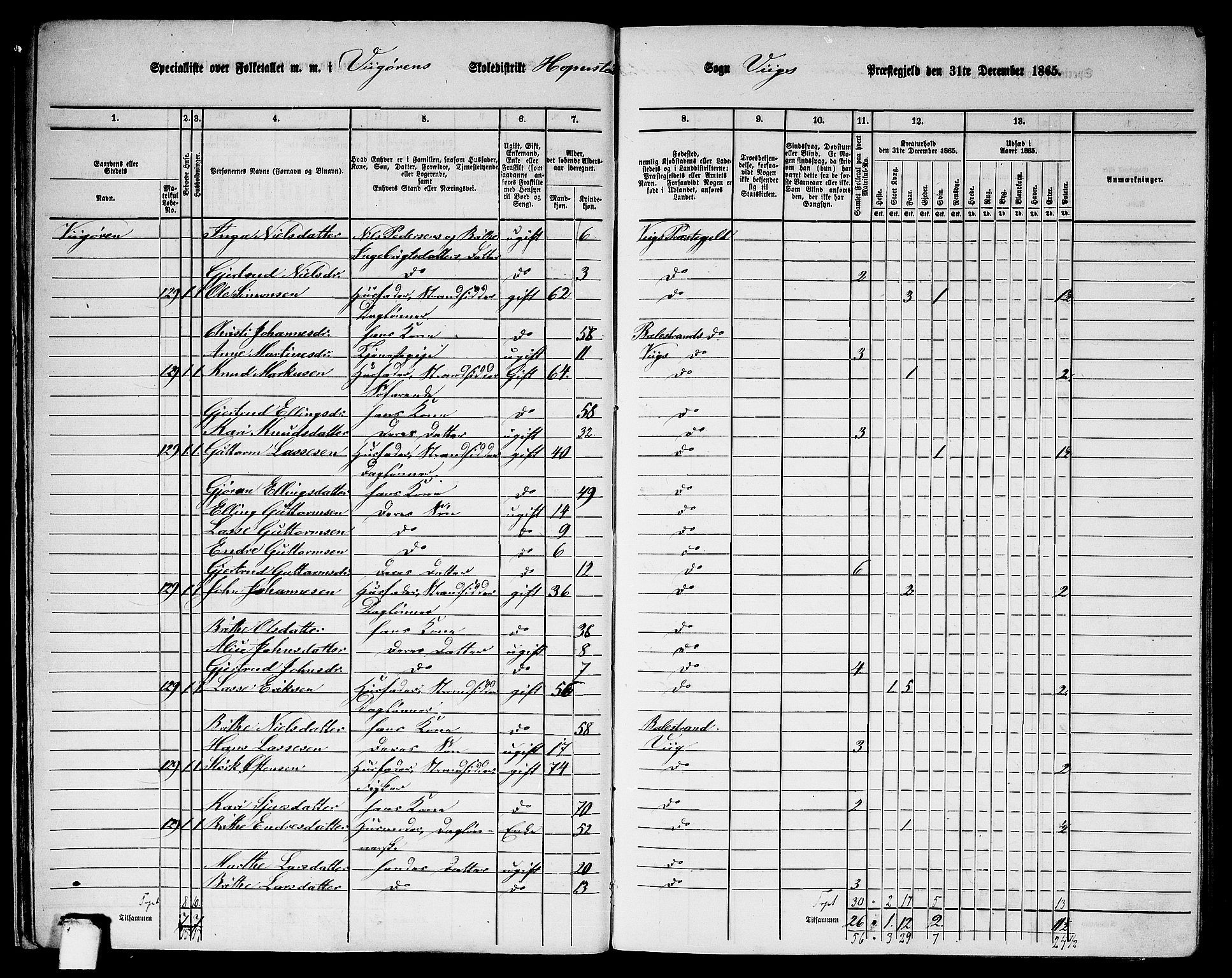 RA, 1865 census for Vik, 1865, p. 25