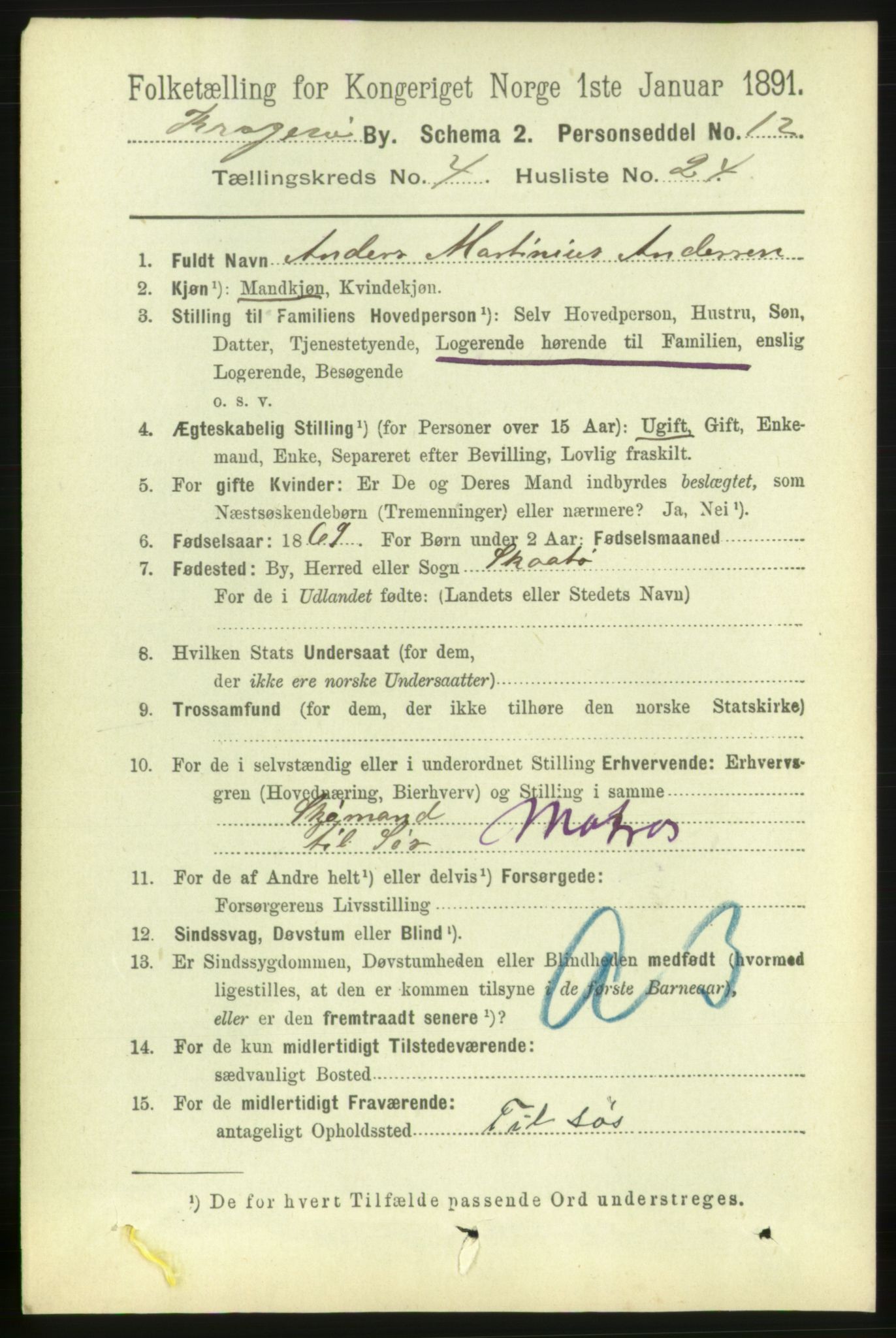 RA, 1891 census for 0801 Kragerø, 1891, p. 3008