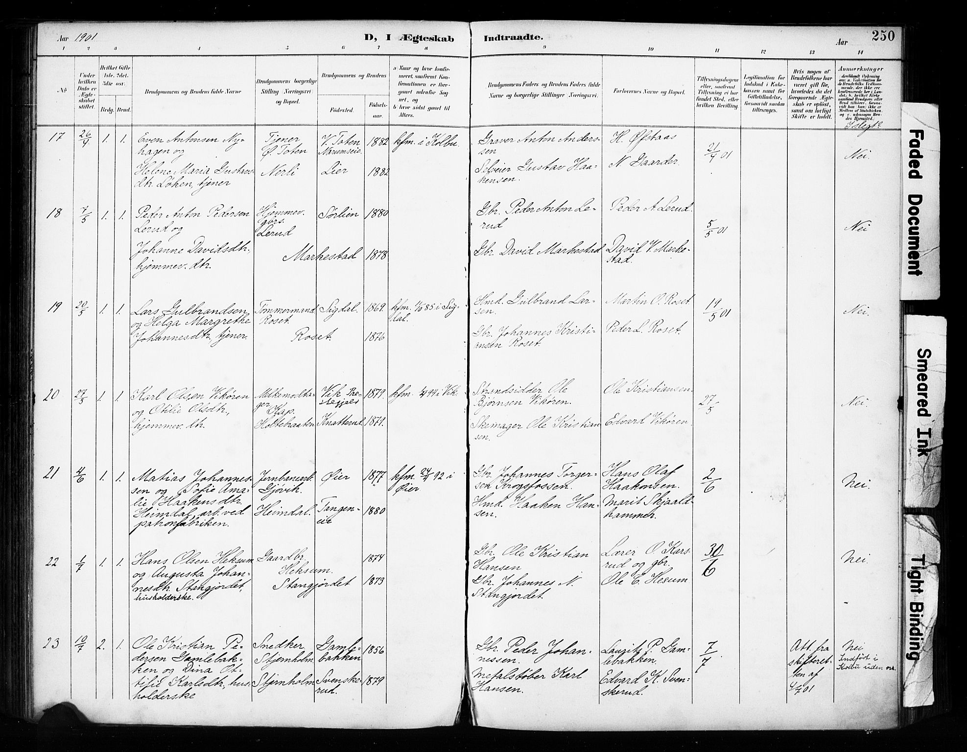 Vestre Toten prestekontor, AV/SAH-PREST-108/H/Ha/Haa/L0011: Parish register (official) no. 11, 1895-1906, p. 250