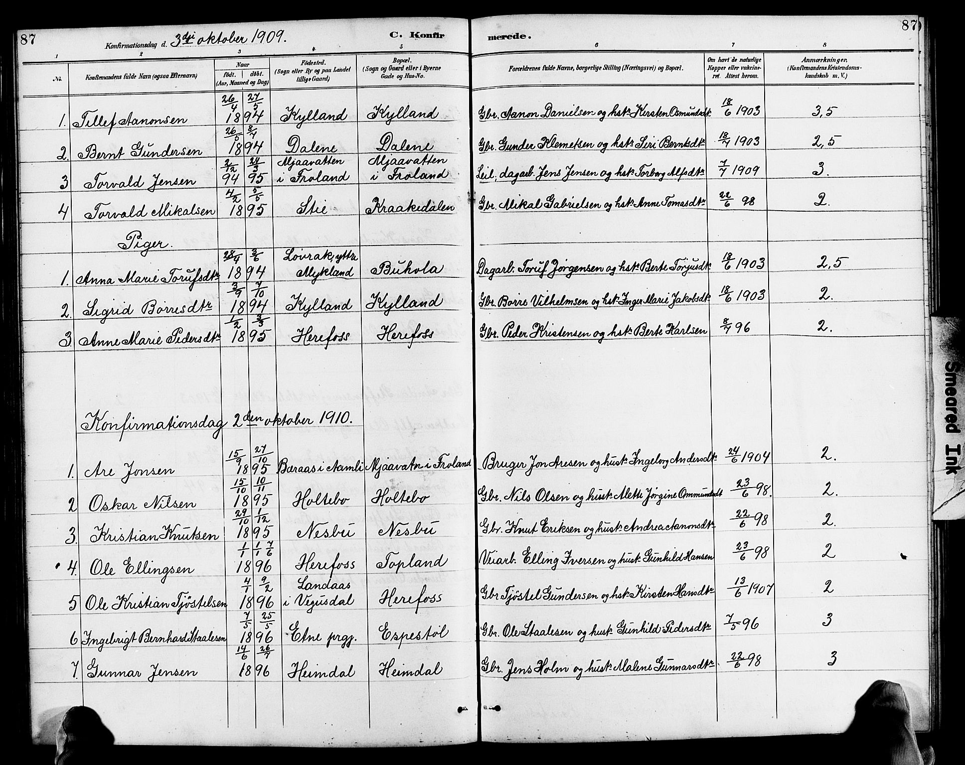 Herefoss sokneprestkontor, AV/SAK-1111-0019/F/Fb/Fba/L0003: Parish register (copy) no. B 3, 1887-1925, p. 87