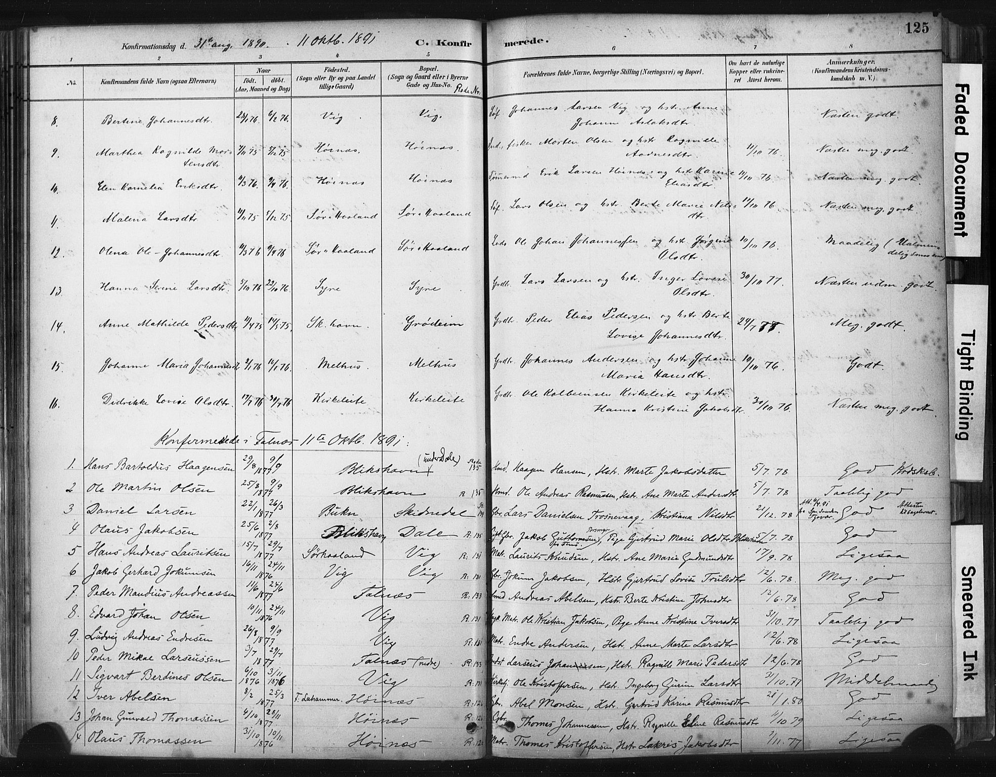 Skudenes sokneprestkontor, SAST/A -101849/H/Ha/Haa/L0009: Parish register (official) no. A 6, 1882-1912, p. 125