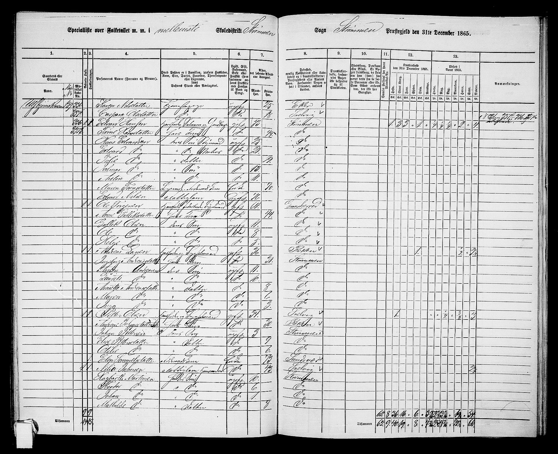 RA, 1865 census for Strømm, 1865, p. 19