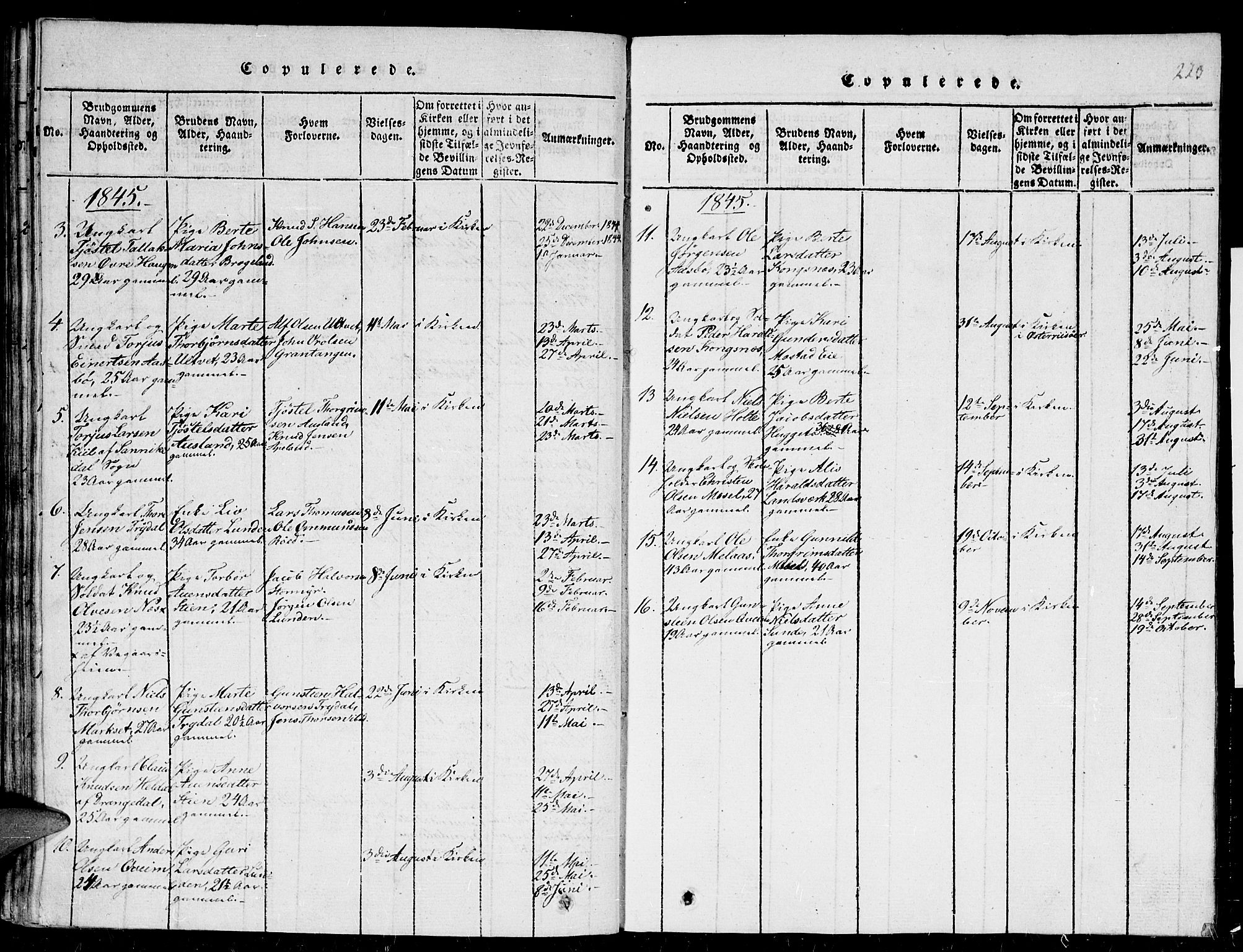 Gjerstad sokneprestkontor, AV/SAK-1111-0014/F/Fb/Fba/L0002: Parish register (copy) no. B 2, 1816-1845, p. 223