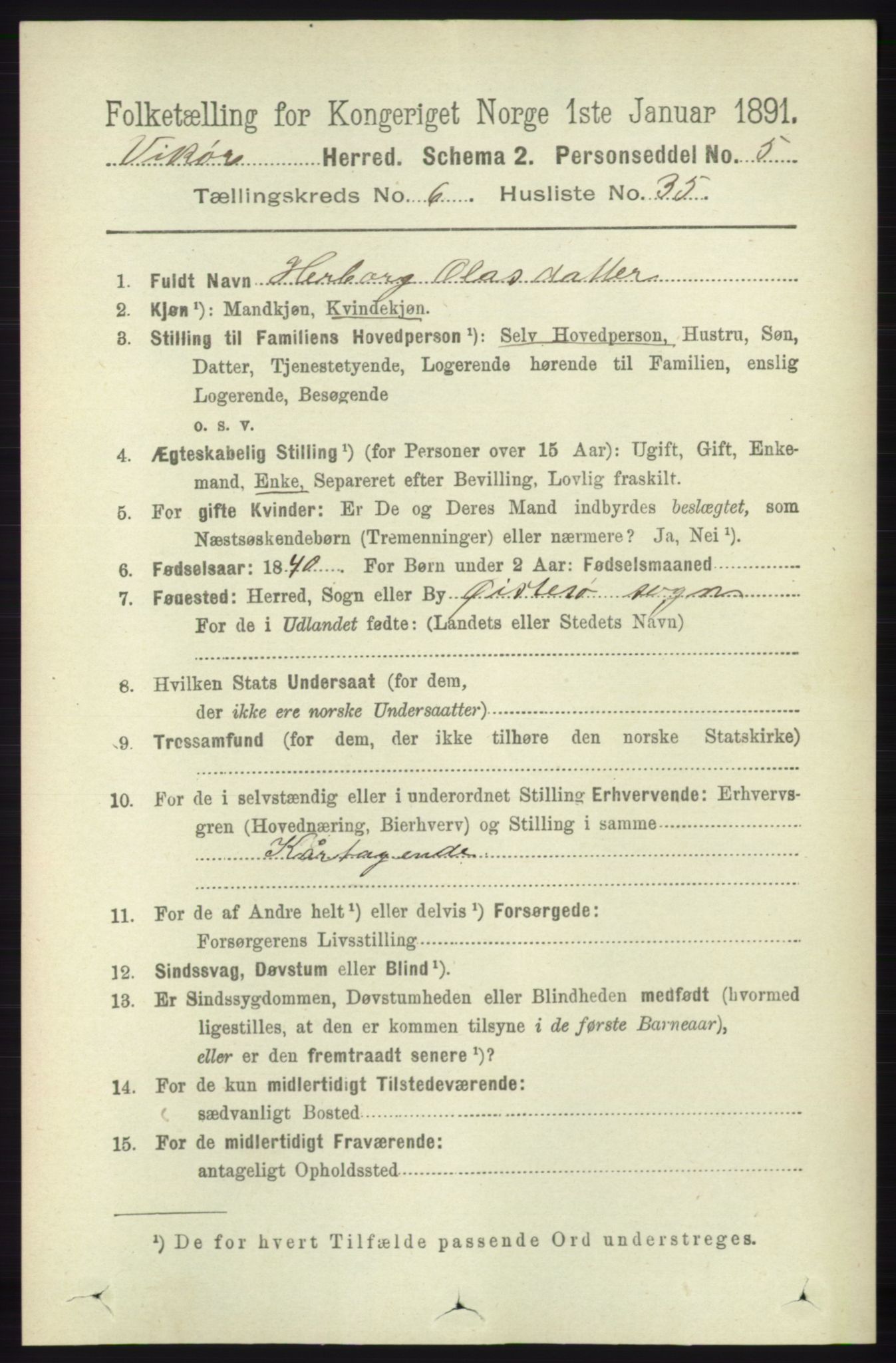 RA, 1891 census for 1238 Vikør, 1891, p. 1997