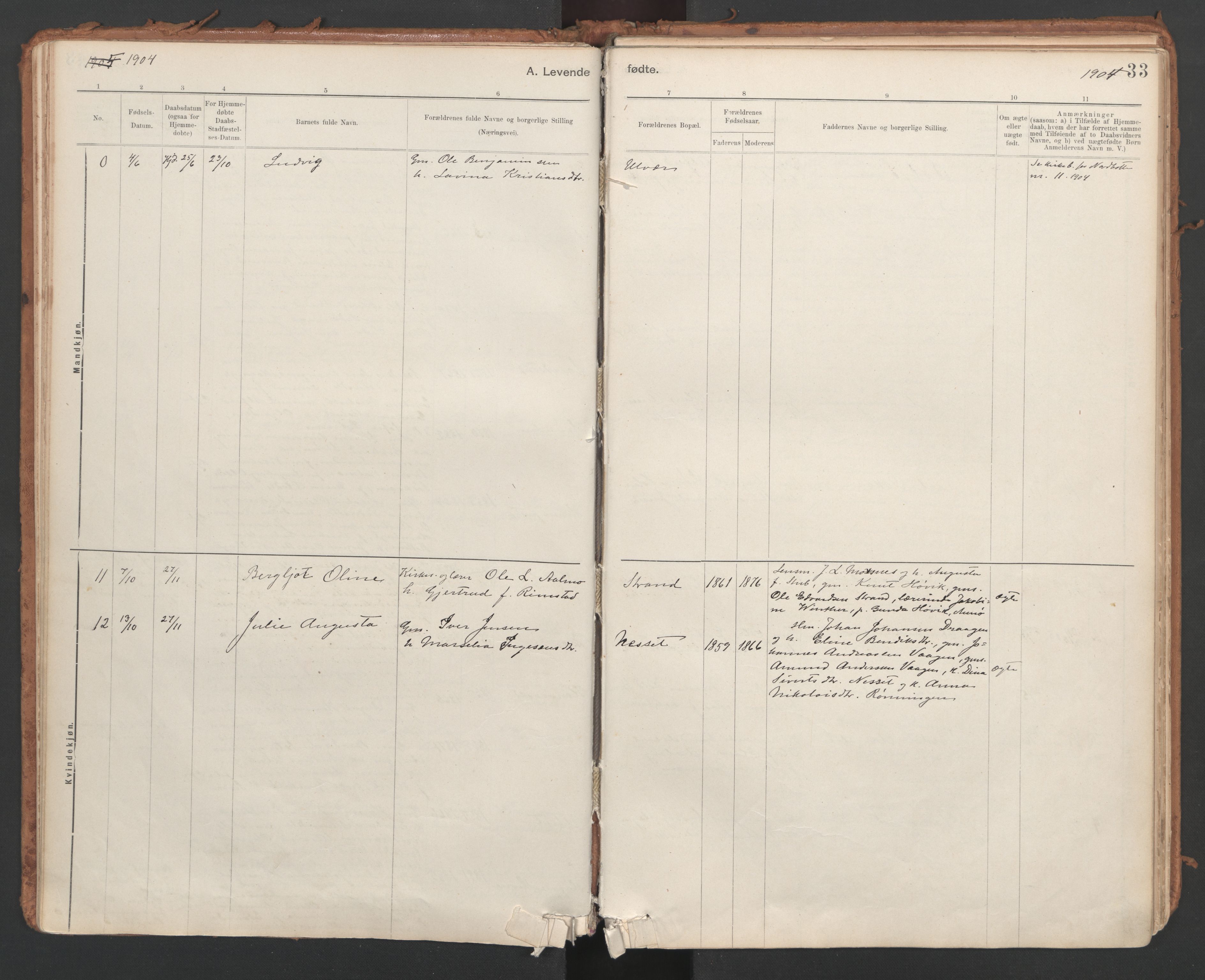 Ministerialprotokoller, klokkerbøker og fødselsregistre - Sør-Trøndelag, SAT/A-1456/639/L0572: Parish register (official) no. 639A01, 1890-1920, p. 33