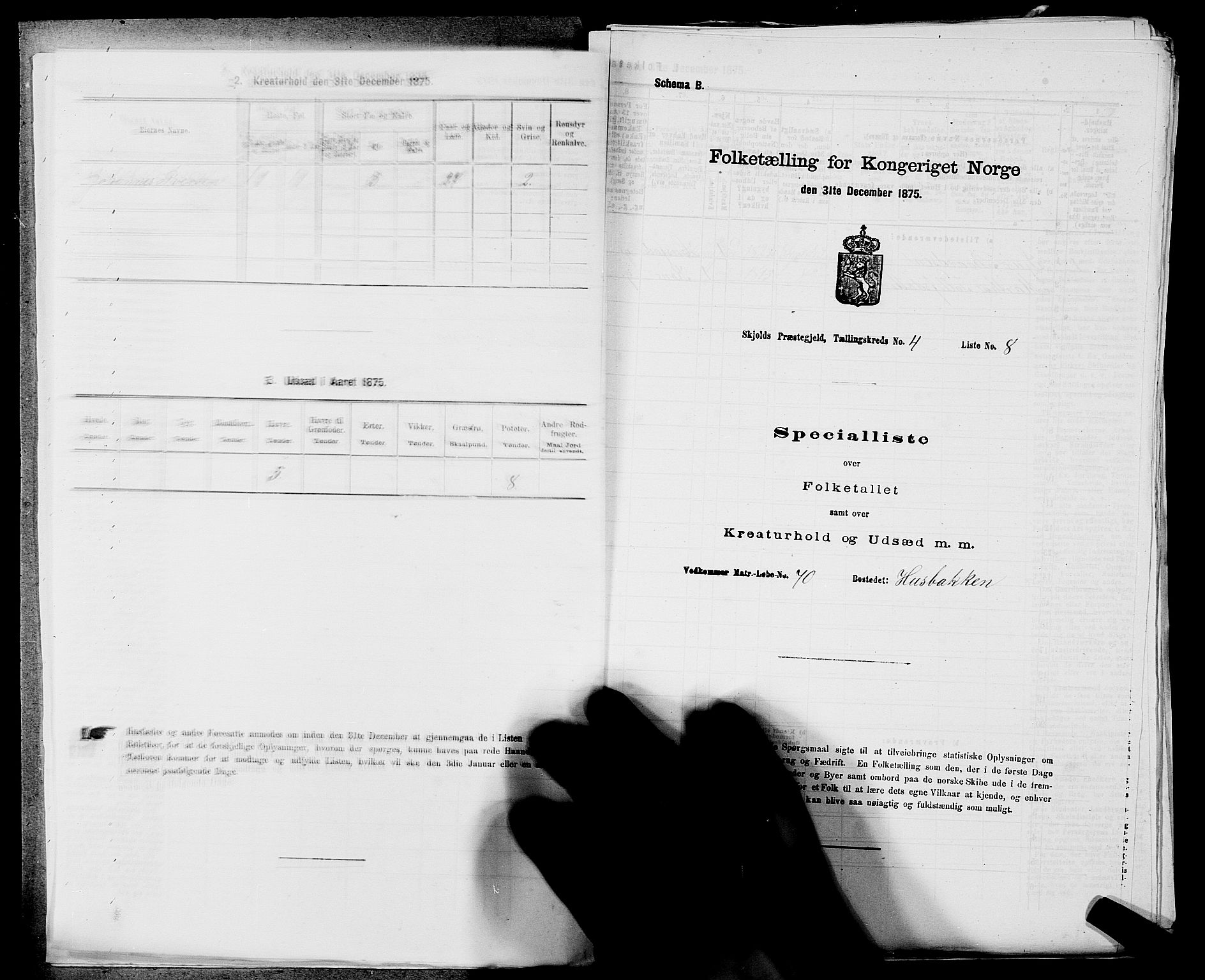 SAST, 1875 census for 1154P Skjold, 1875, p. 294