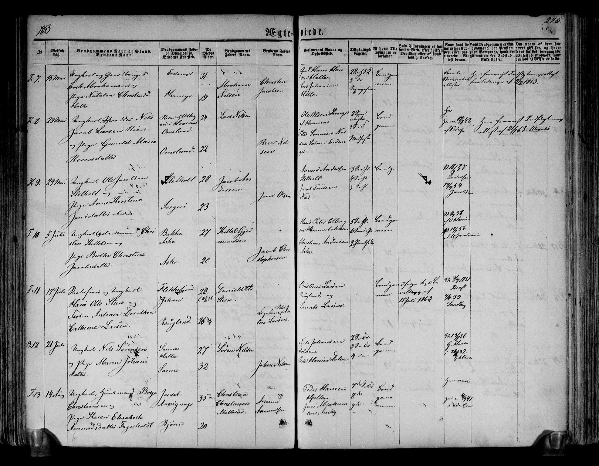 Brunlanes kirkebøker, AV/SAKO-A-342/F/Fa/L0005: Parish register (official) no. I 5, 1862-1877, p. 245