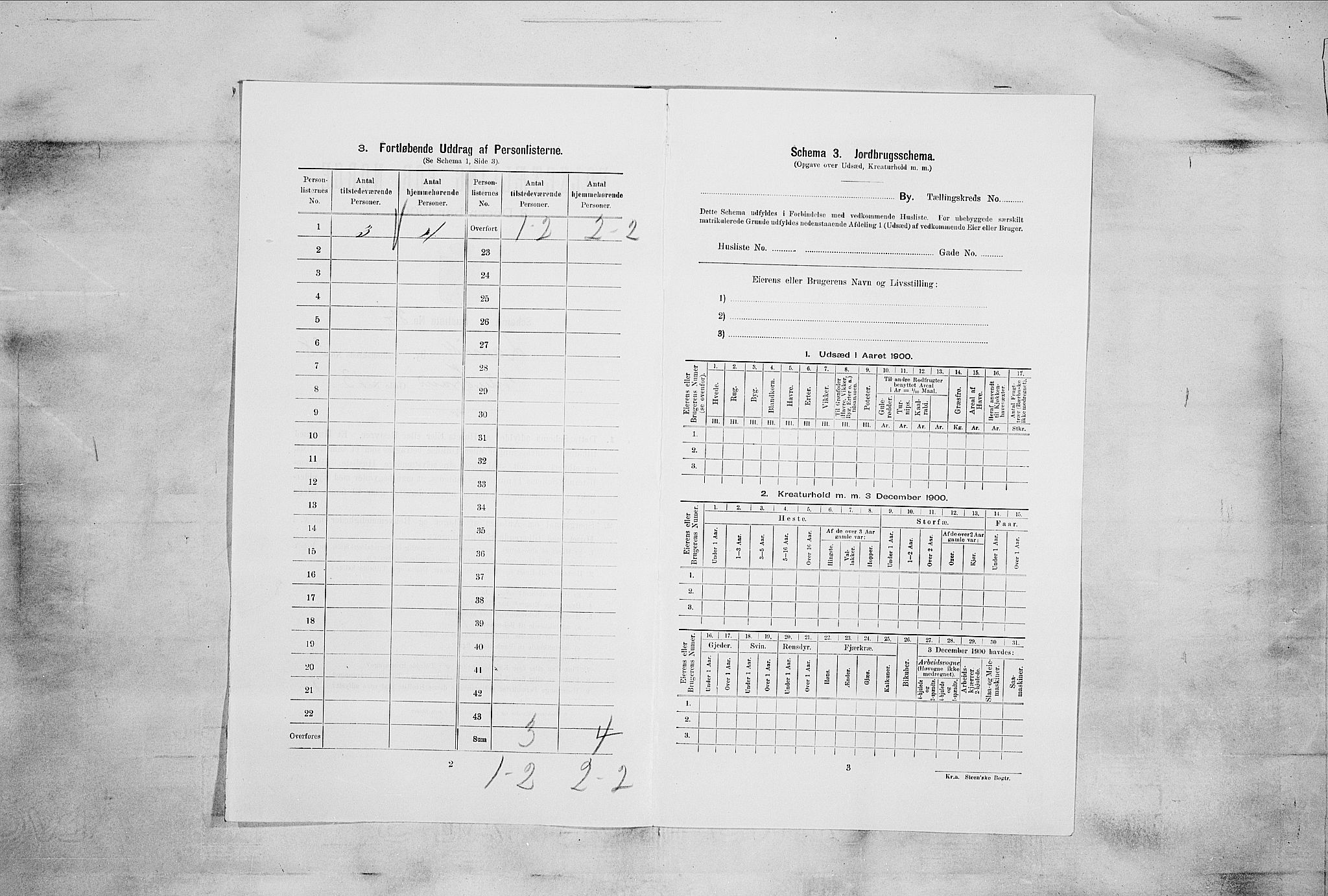 RA, 1900 census for Larvik, 1900, p. 5189