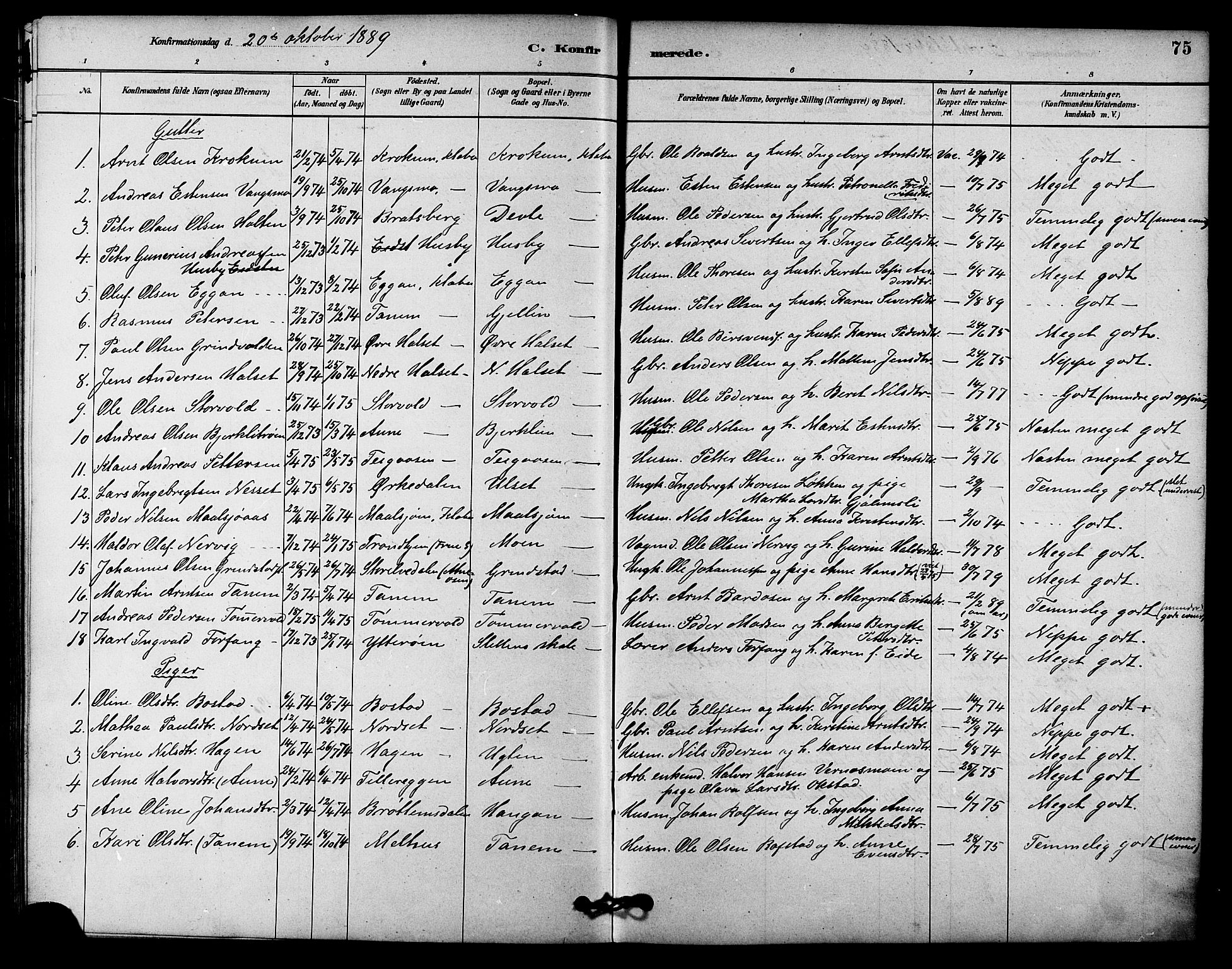 Ministerialprotokoller, klokkerbøker og fødselsregistre - Sør-Trøndelag, SAT/A-1456/618/L0444: Parish register (official) no. 618A07, 1880-1898, p. 75